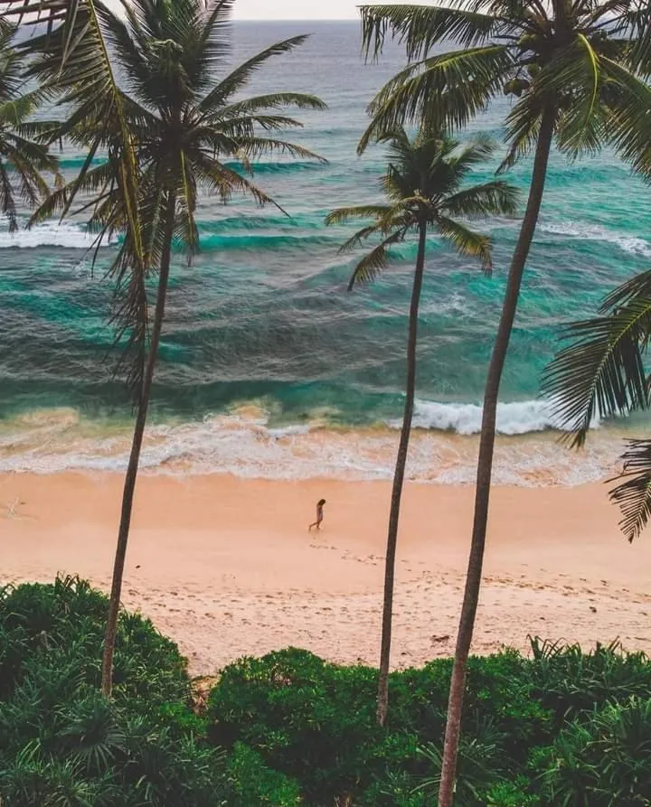 Goyambokka Guesthouse