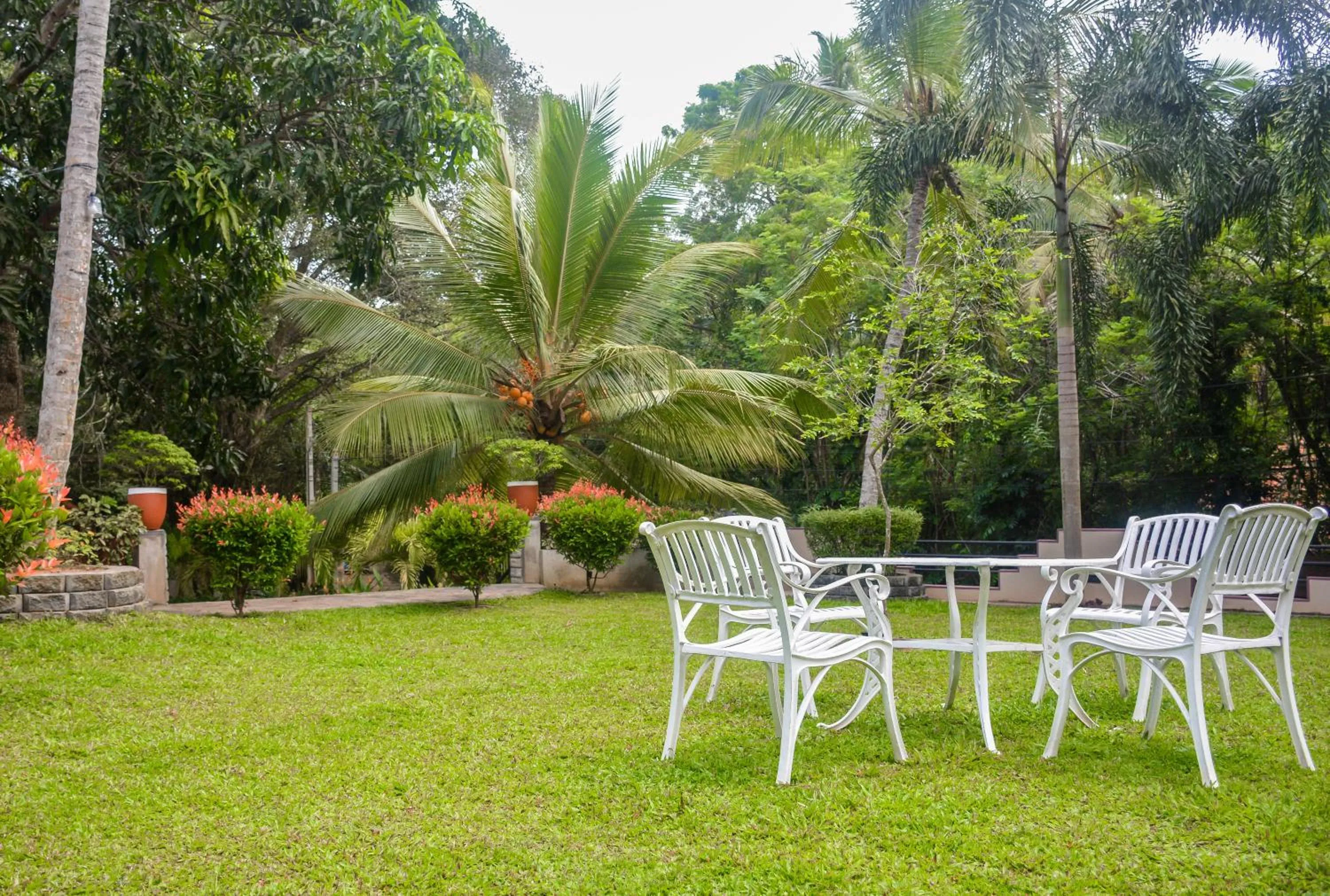 Garden view in Goyambokka Guesthouse
