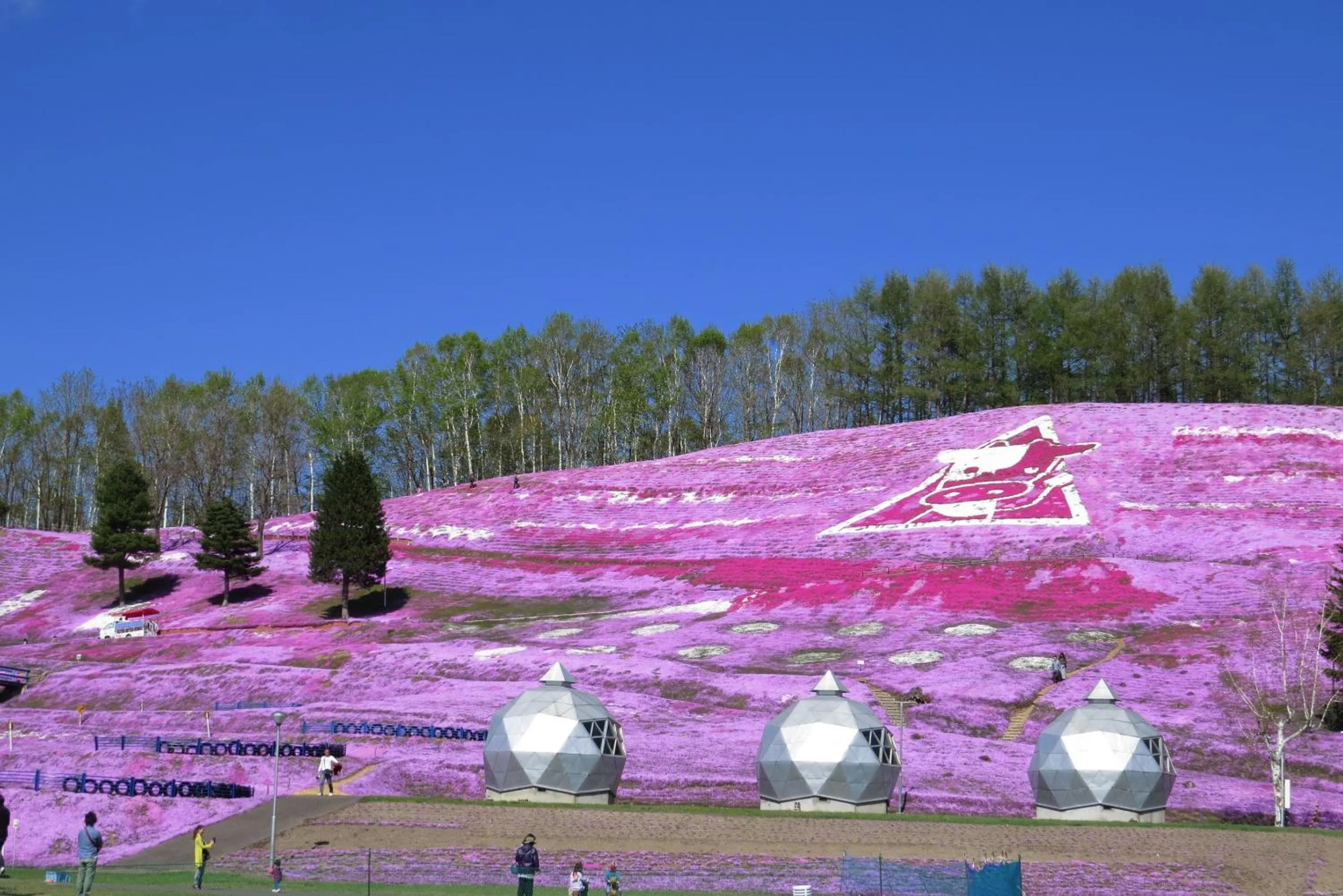 Nearby landmark in Traveler's Inn Asanebo