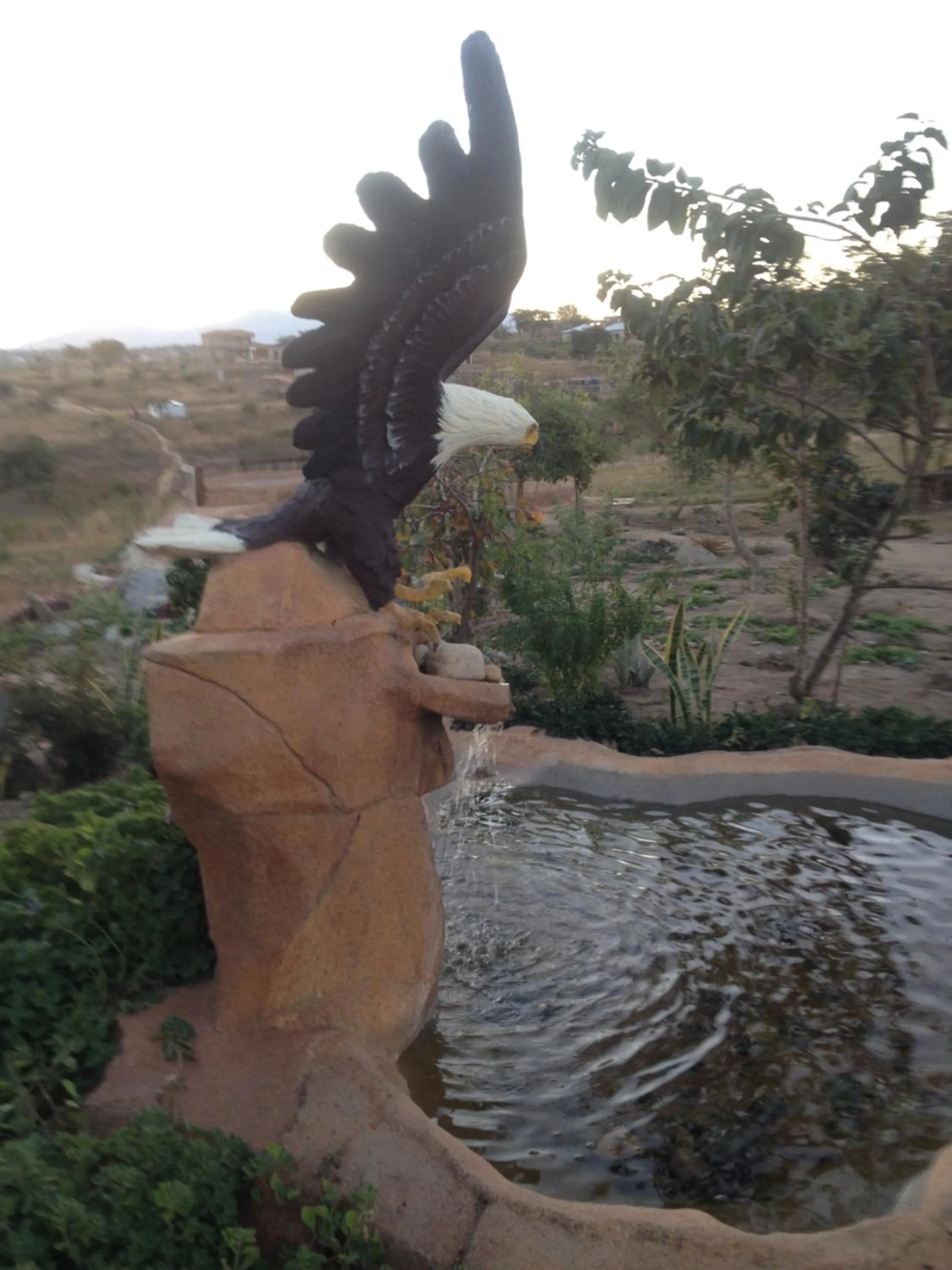 Rhurhy Guest House