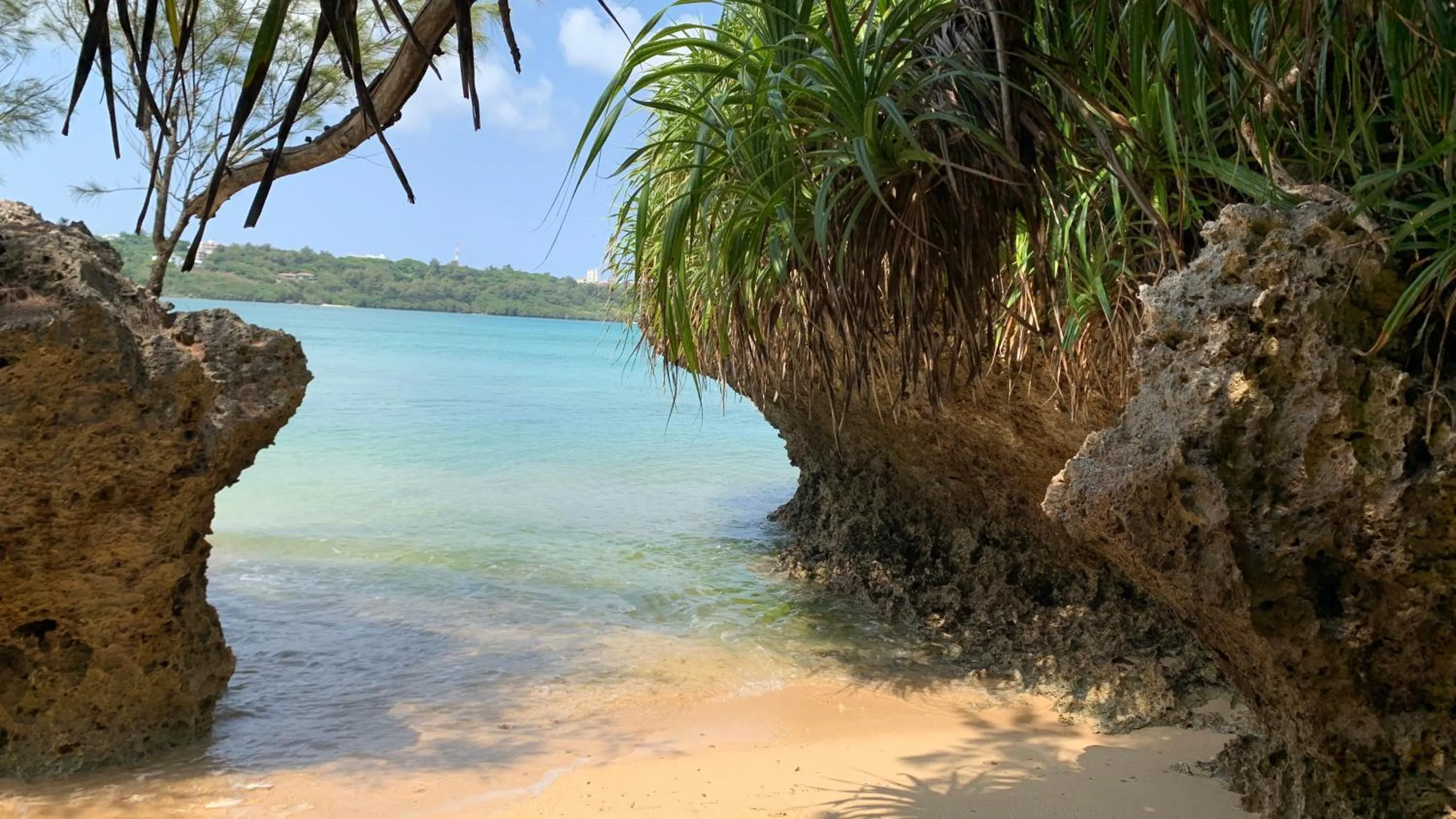 Milk-ya Women-Only Guest House