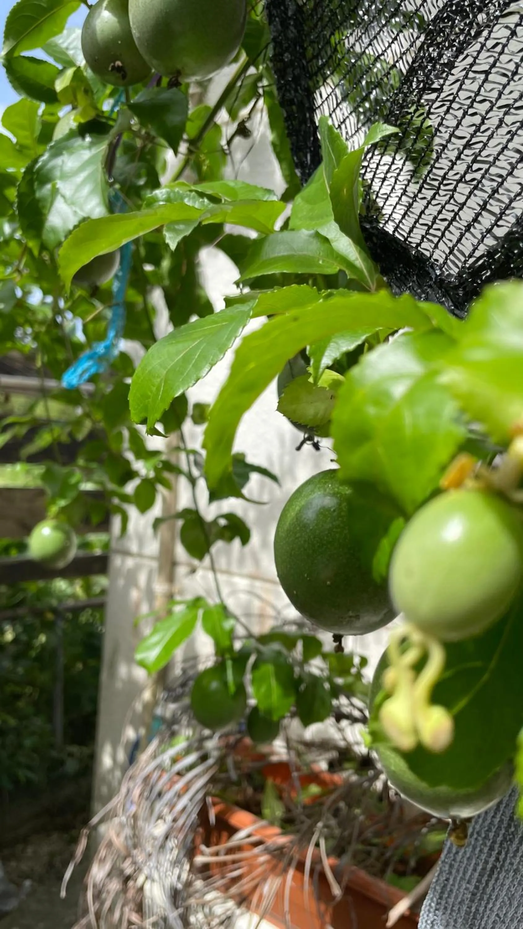 Milk-ya Women-Only Guest House