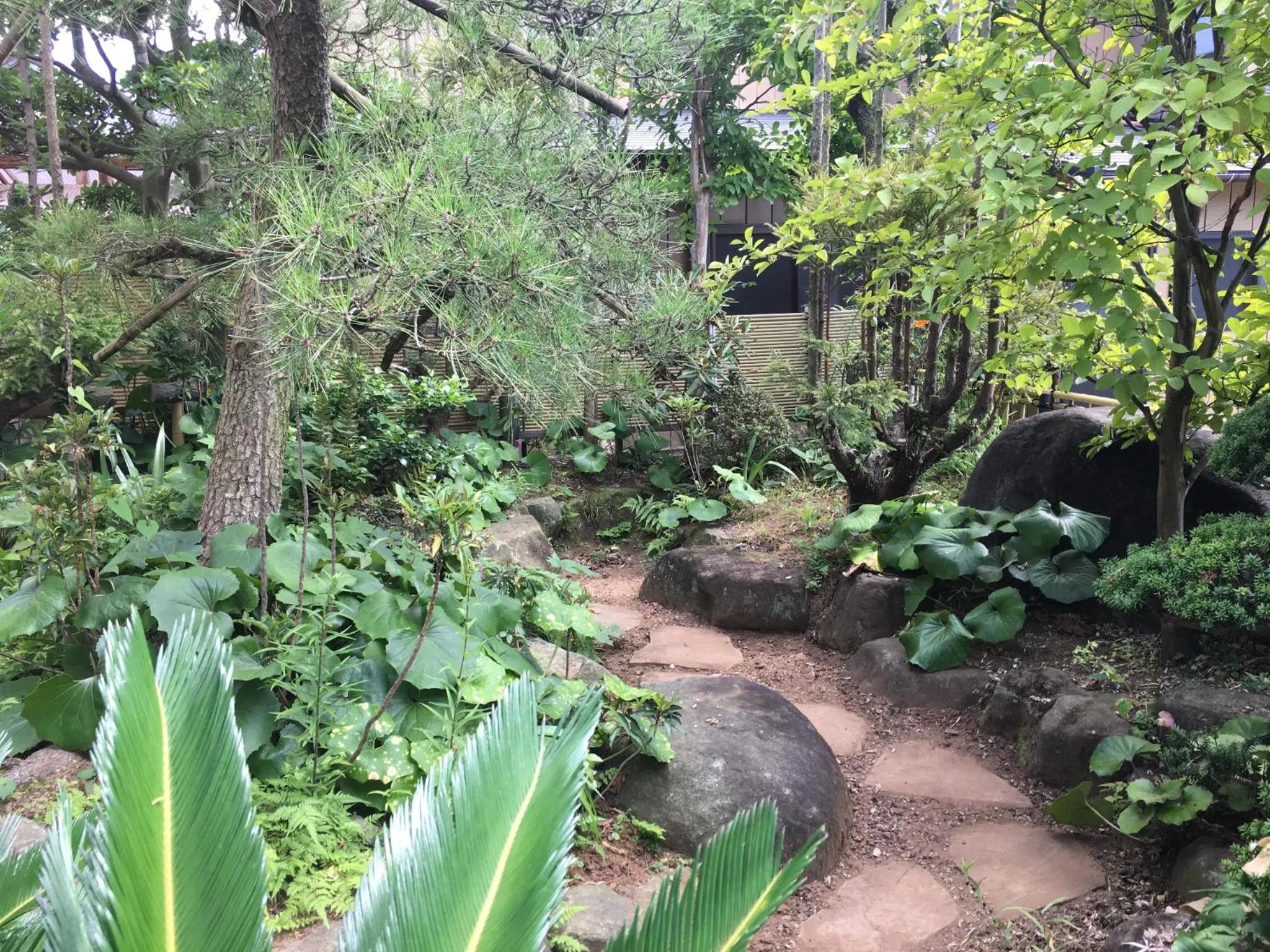 Garden in Masugataya Ryokan
