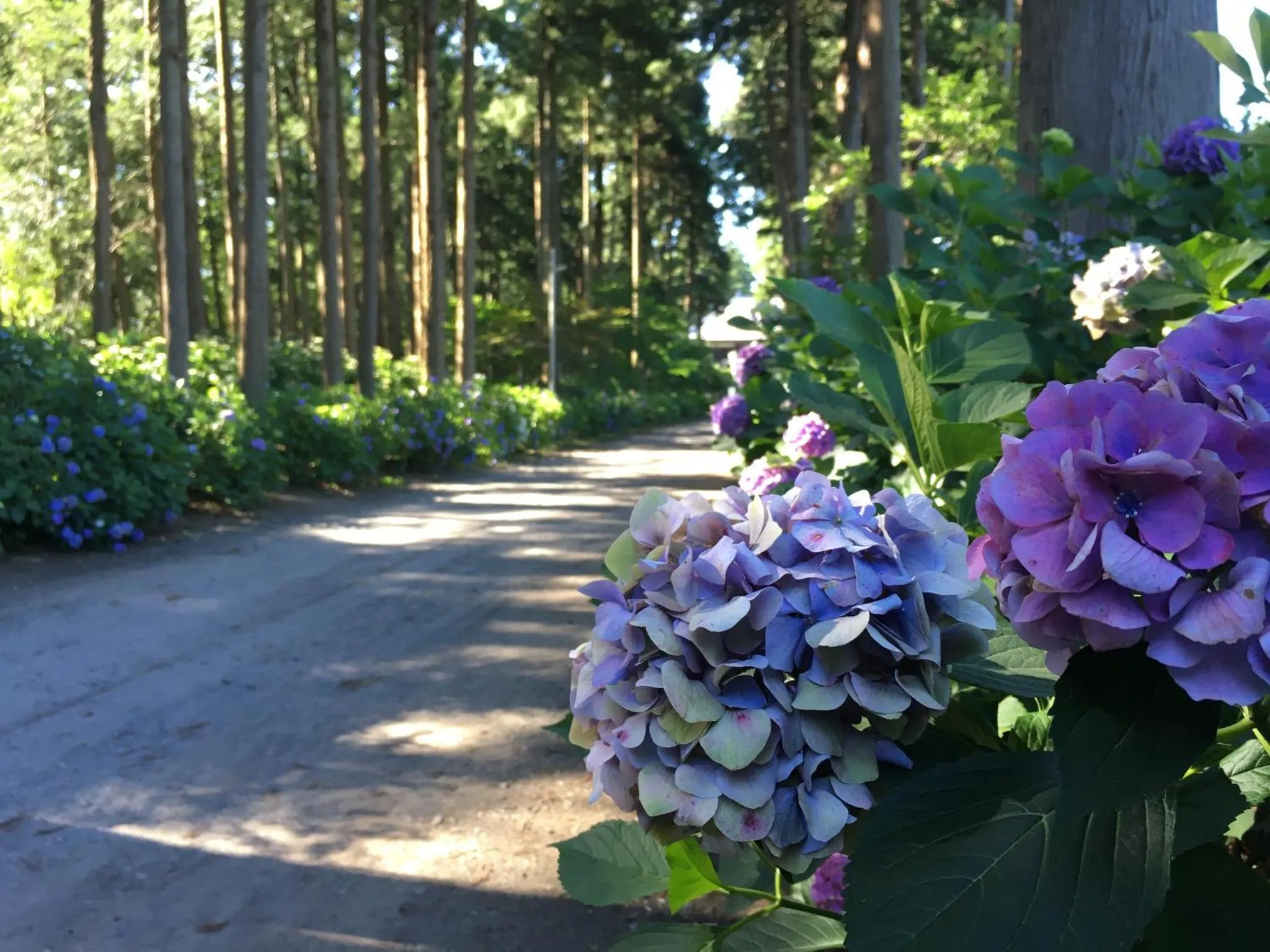 Nearby landmark in Masugataya Ryokan