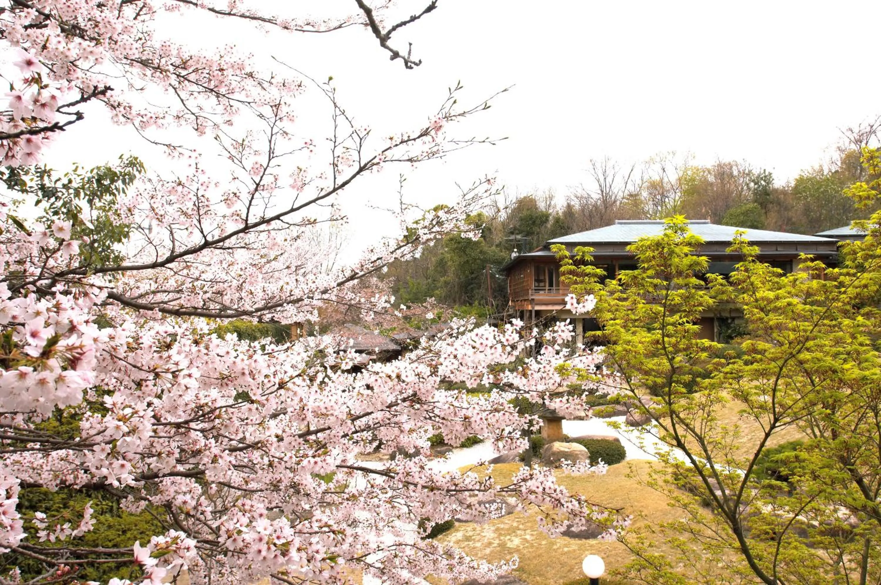 View (from property/room) in Sekitei