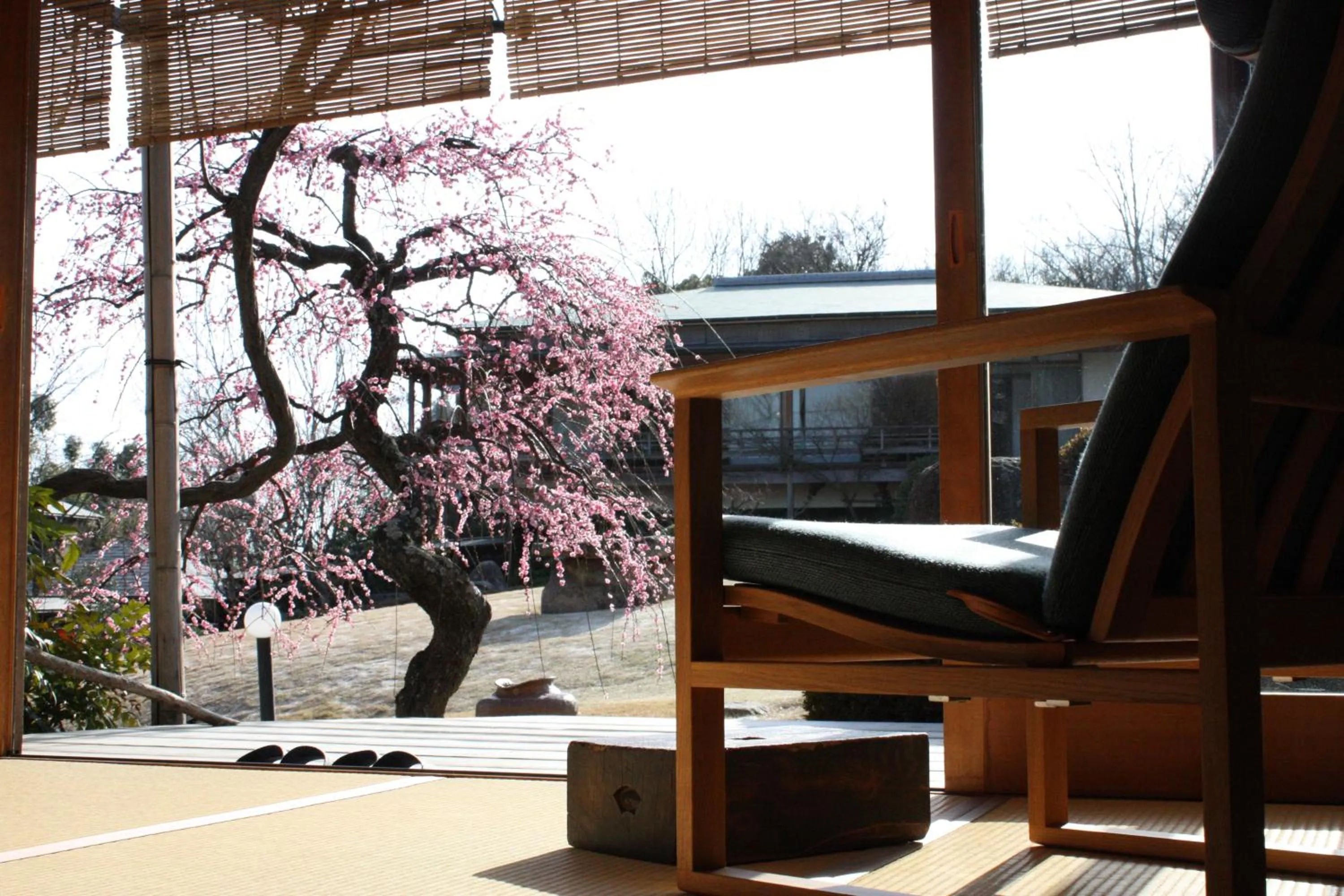 Garden view in Sekitei