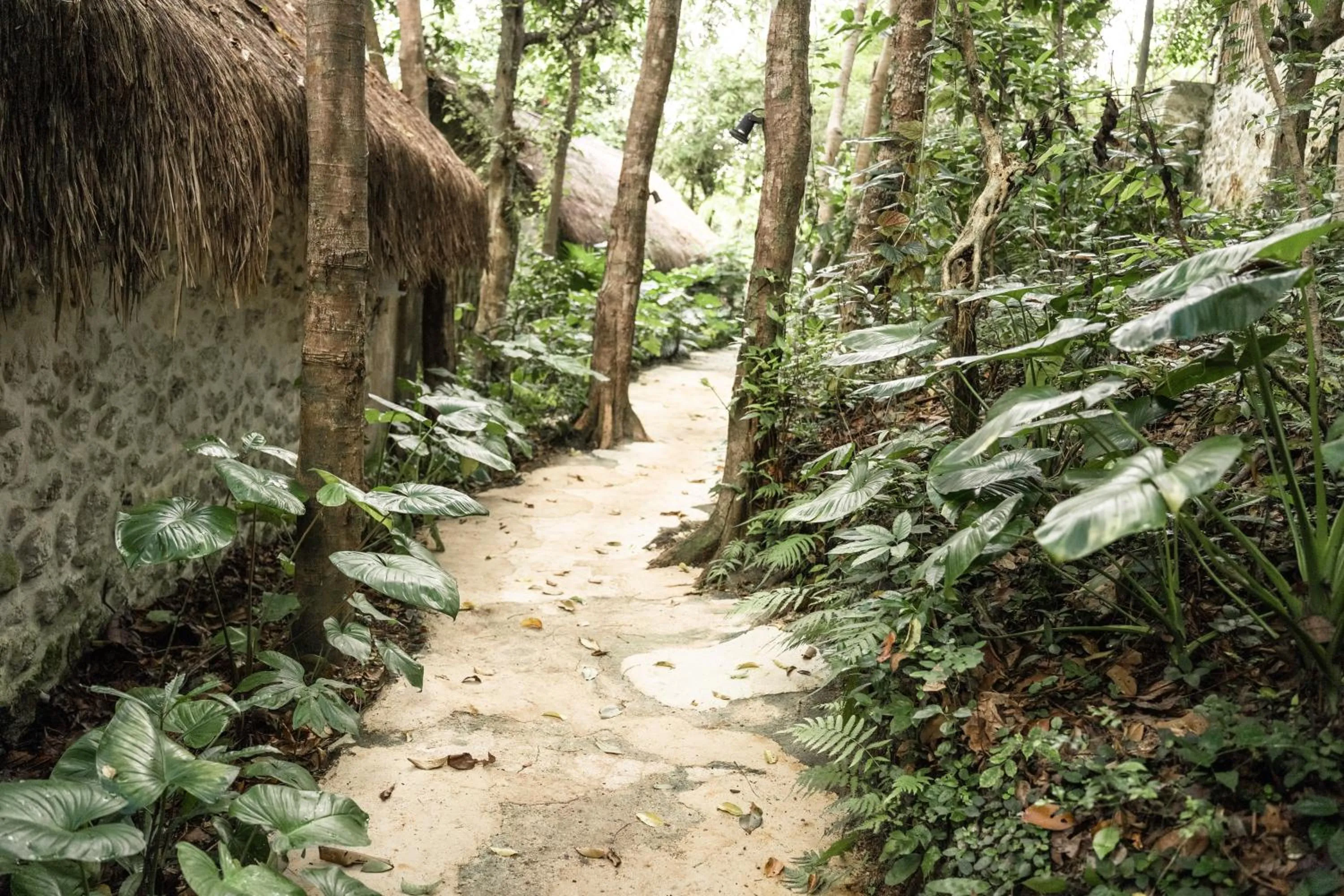 Natural landscape in The Mesare Eco Resort