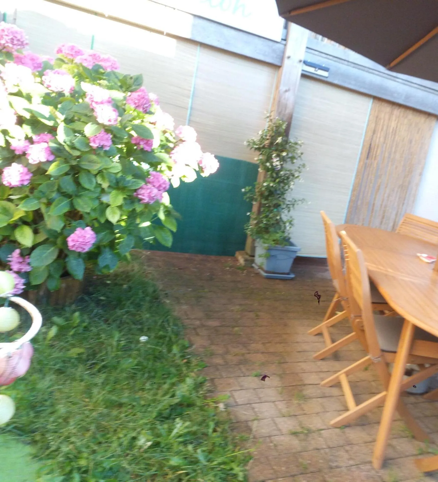 Property building in Madelon IV