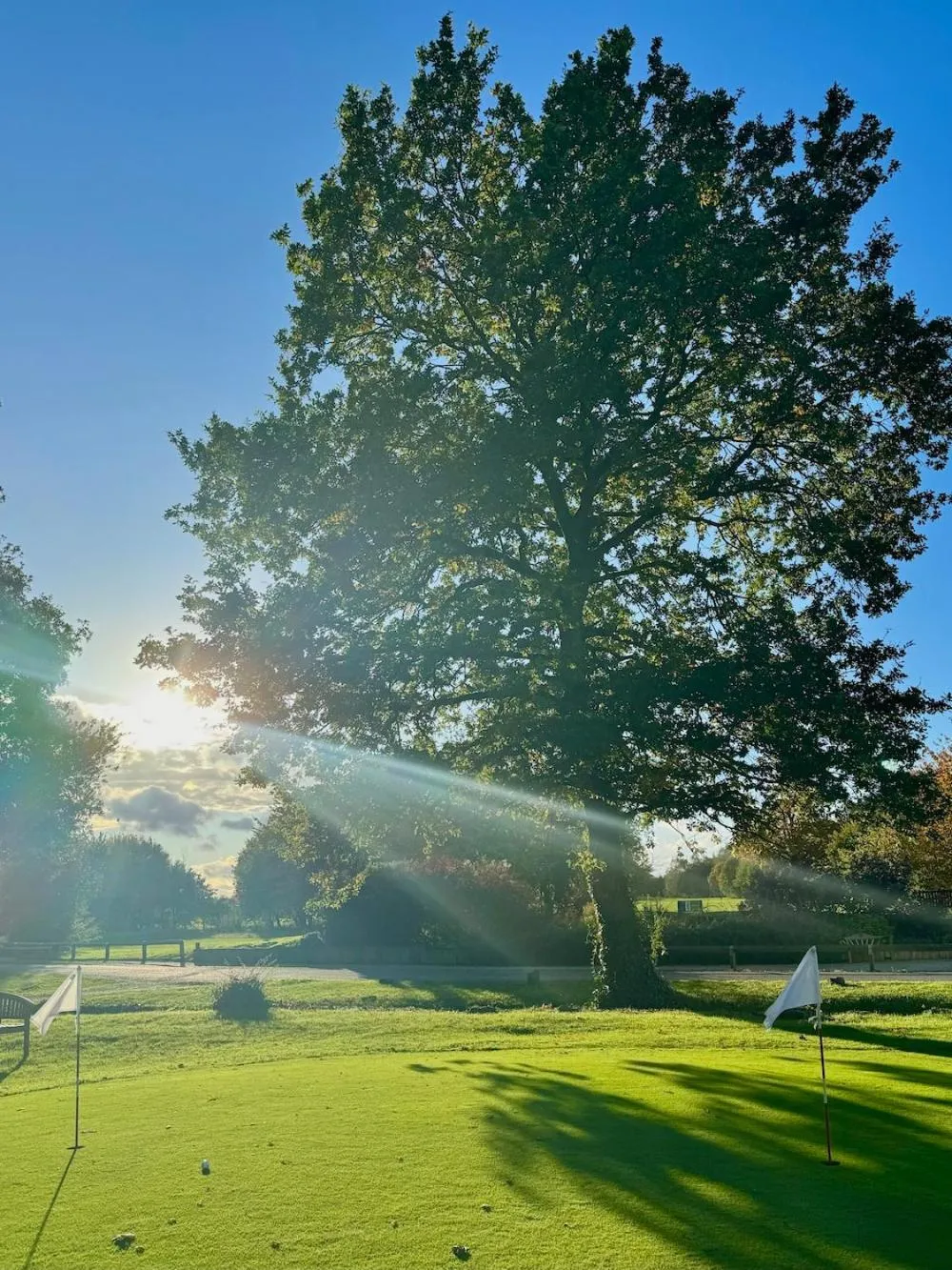 Natural landscape in Owston Hall Hotel
