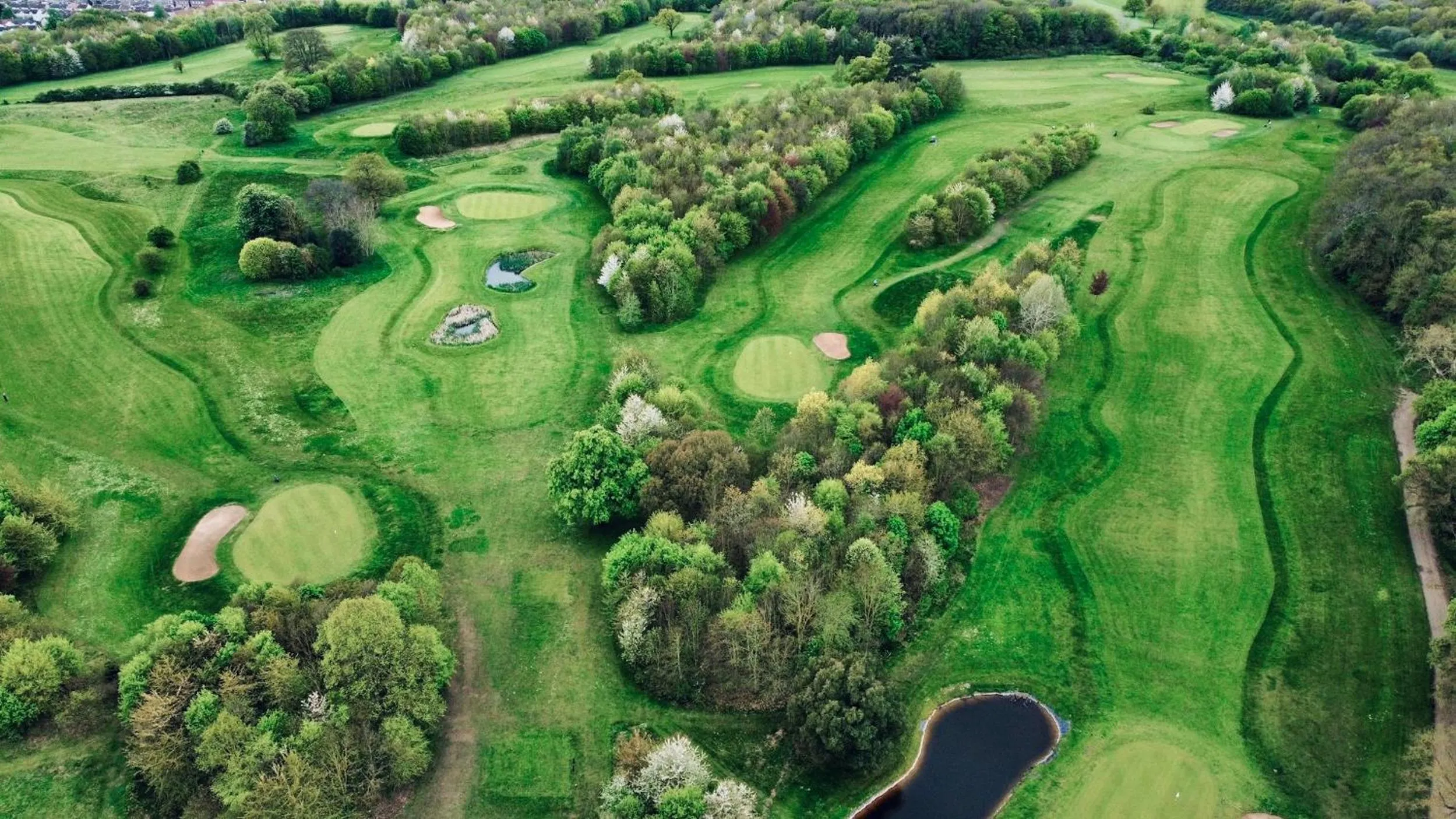 Garden in Owston Hall Hotel