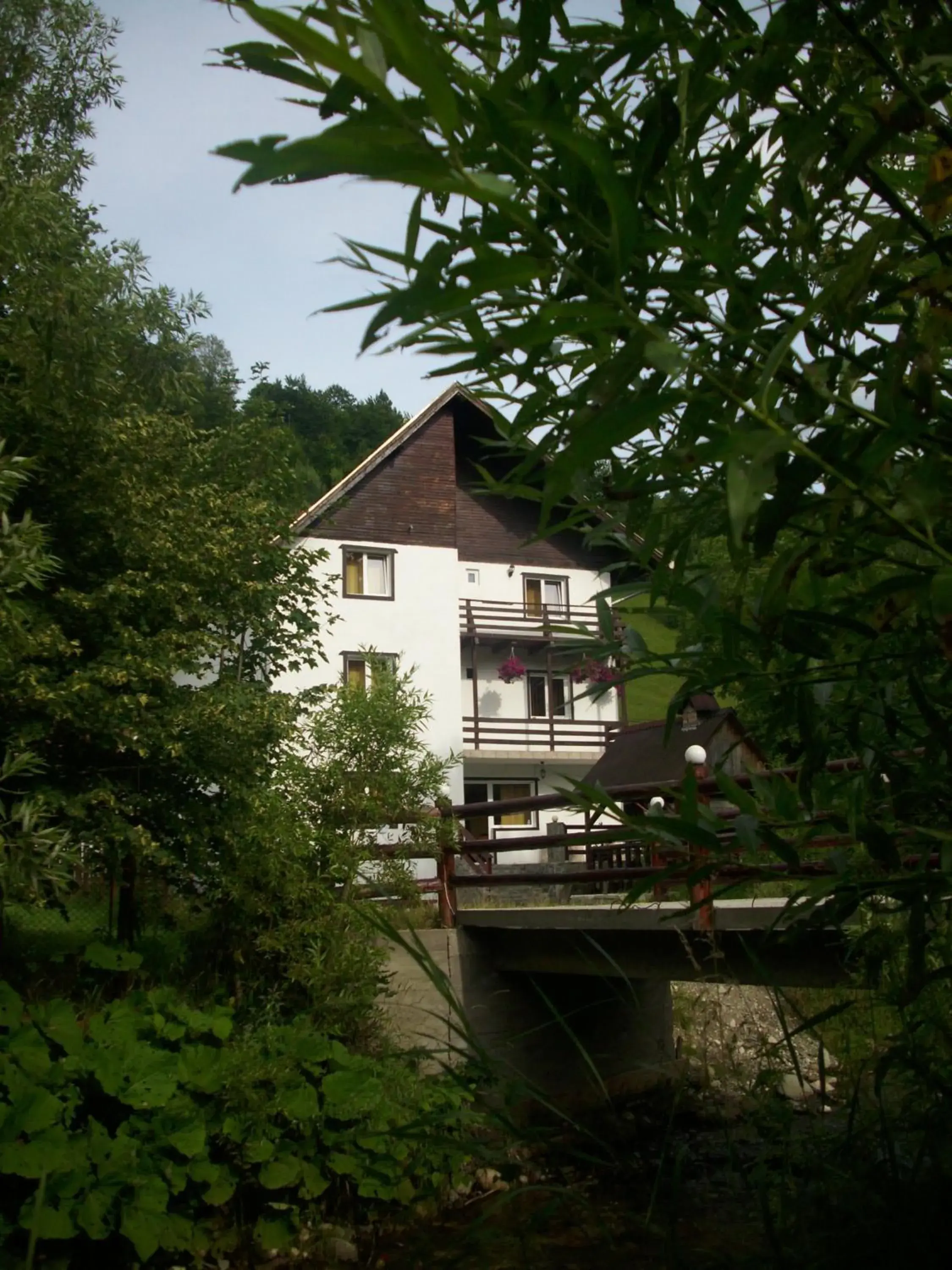 Vila Doina Branului Vila Doina Branului