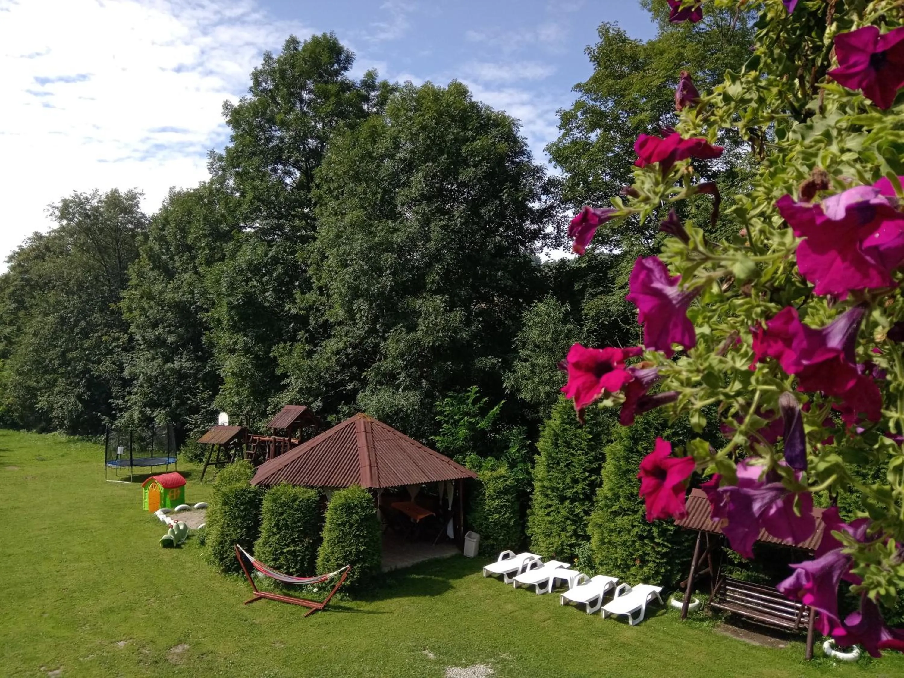Vila Doina Branului