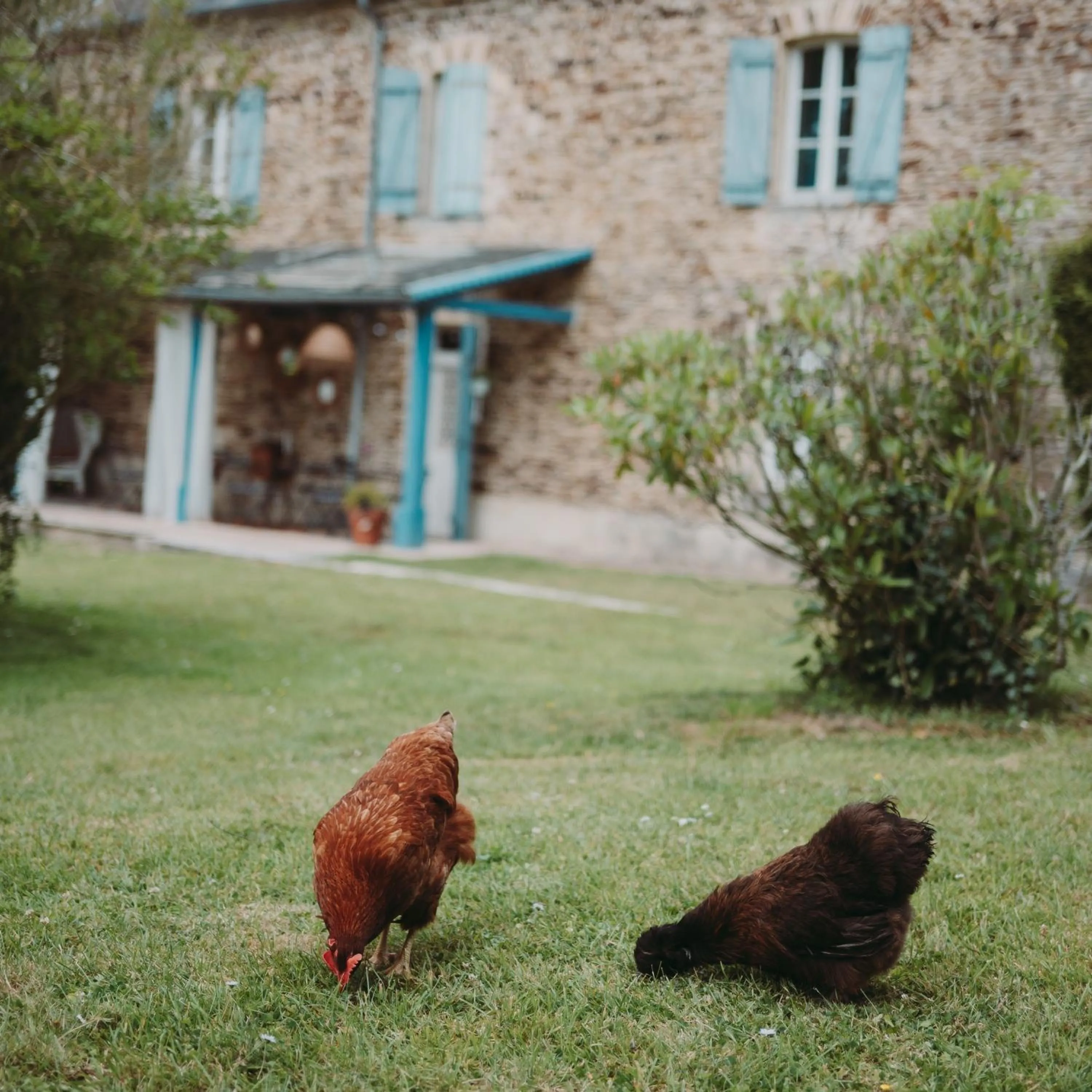 Garden in Domaine de la Fauvriere