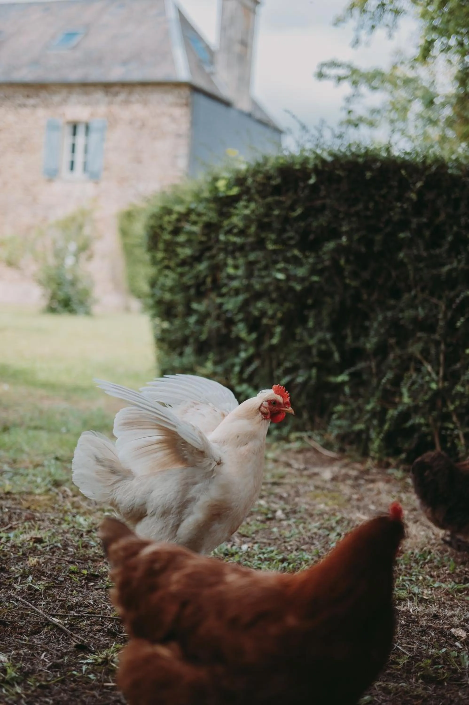 Domaine de la Fauvriere