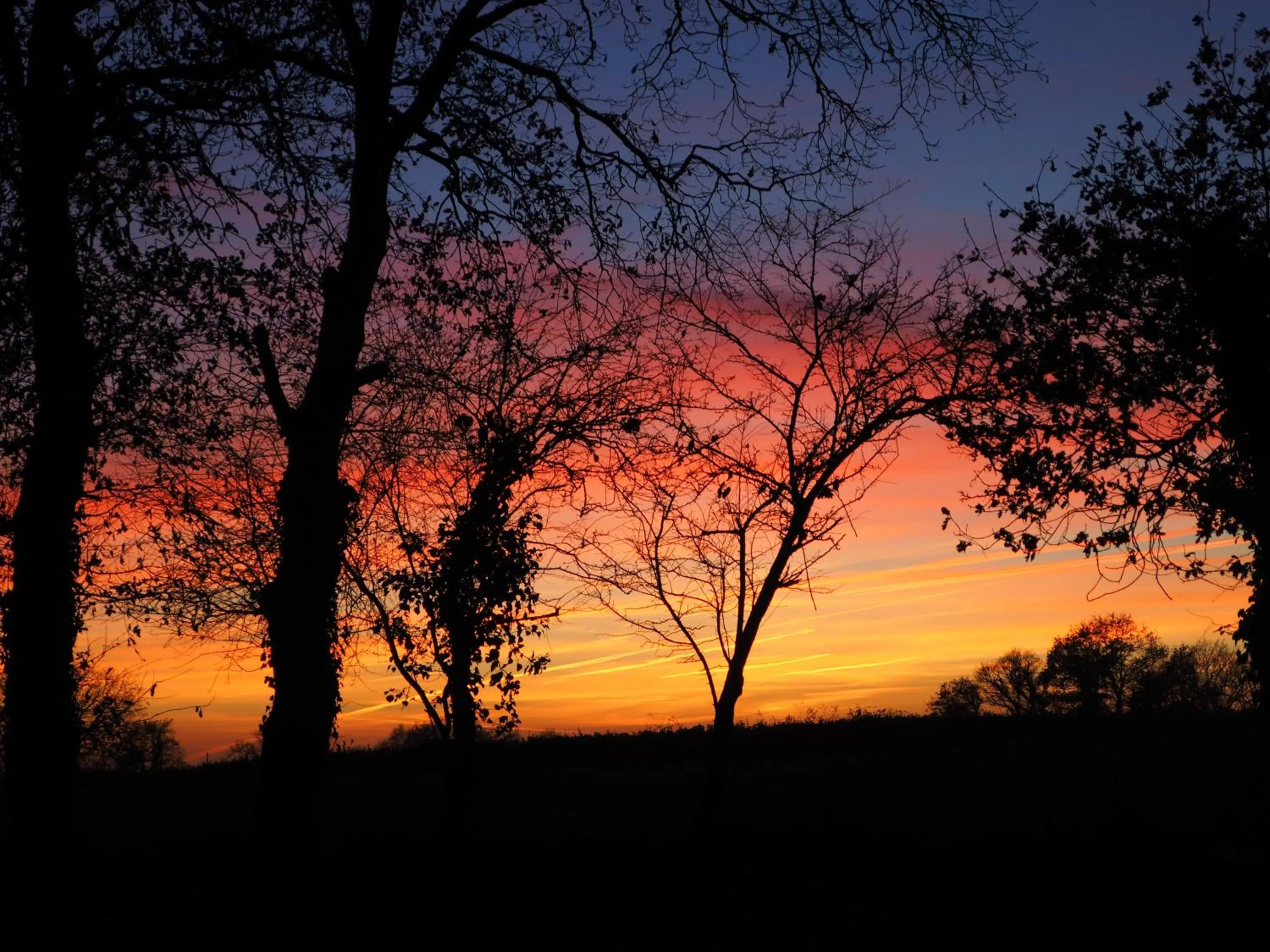 Garden view in L'Oustaou du Bodo