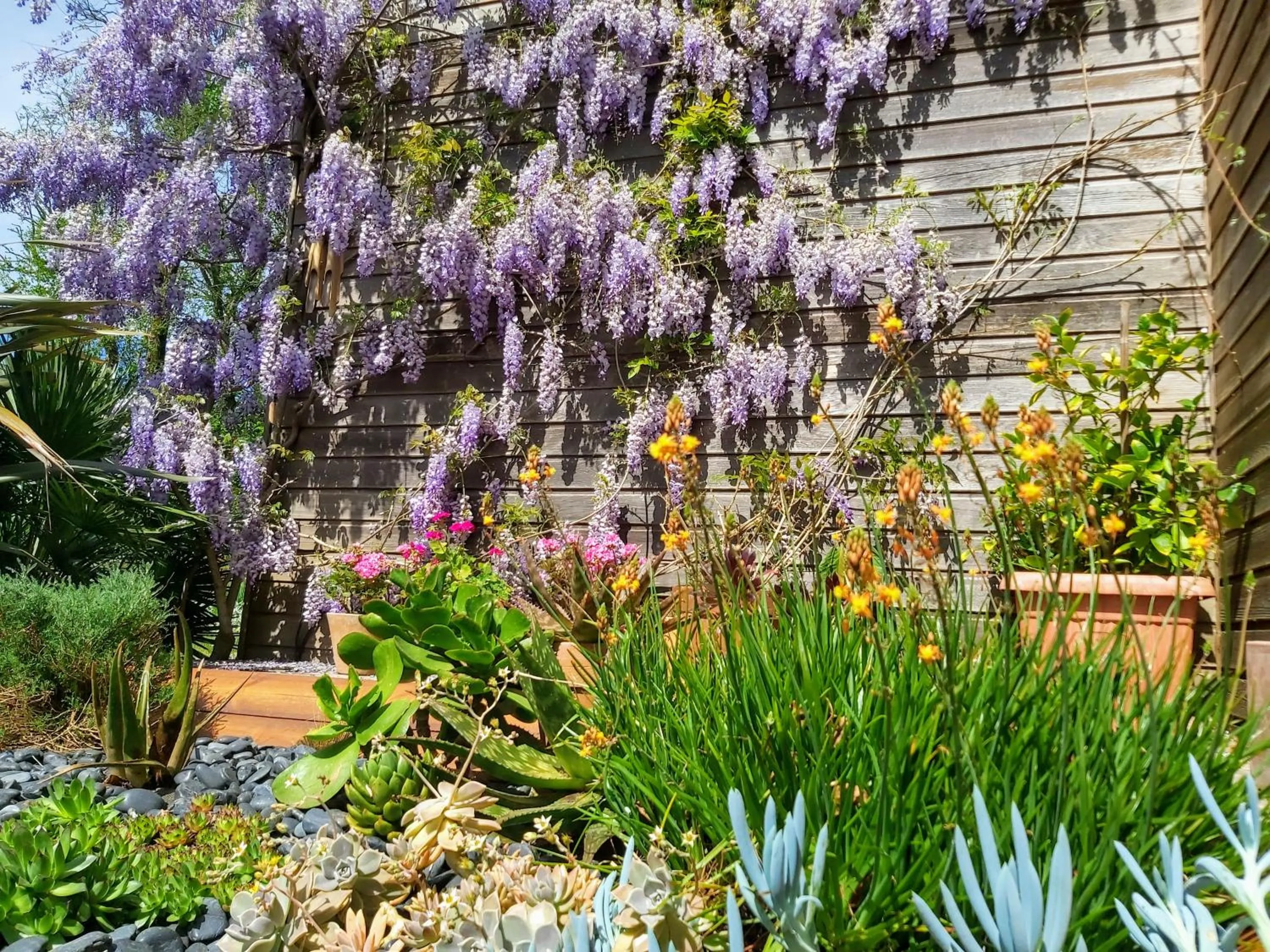 Garden in L'Oustaou du Bodo