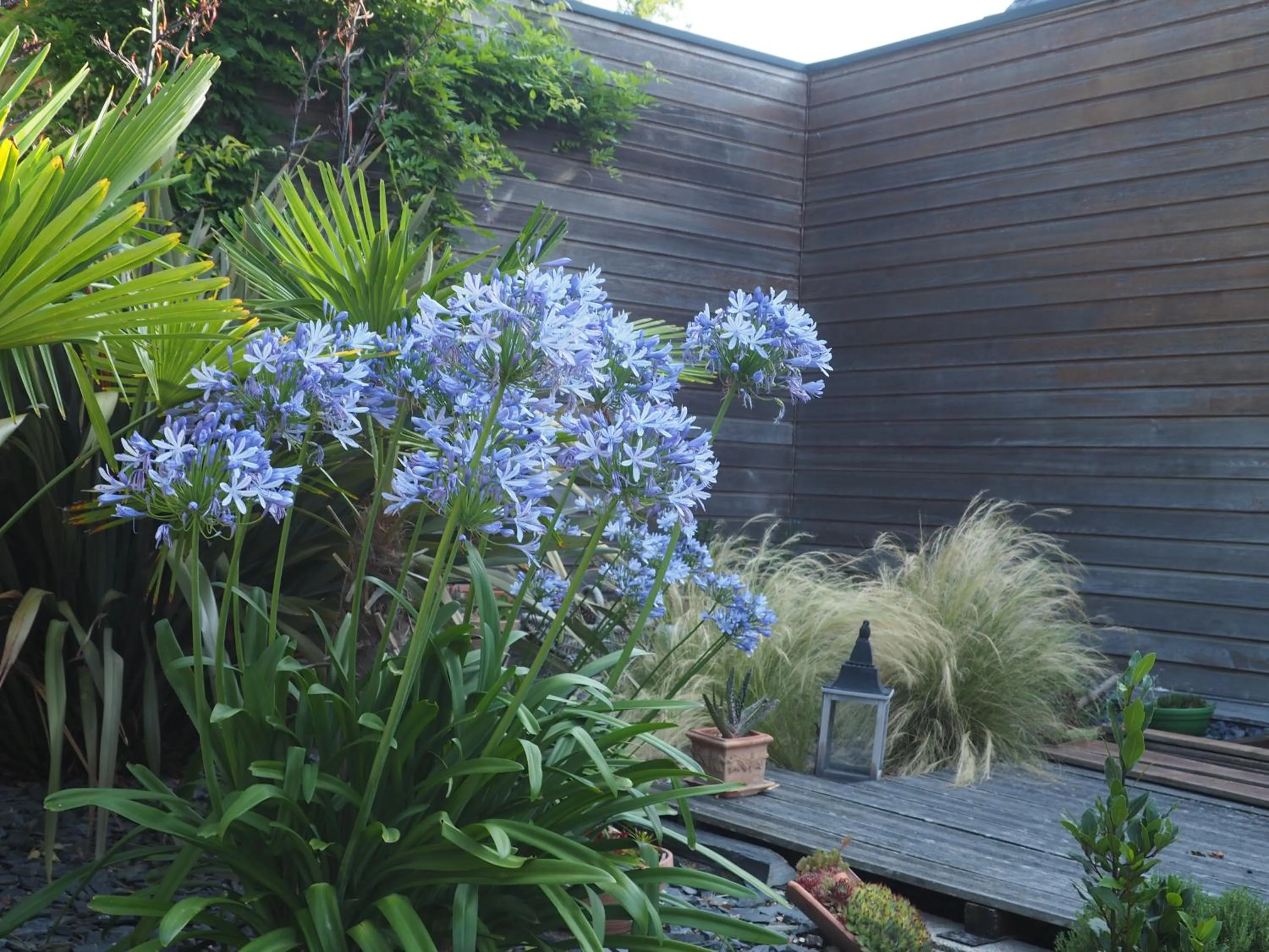 Garden in L'Oustaou du Bodo