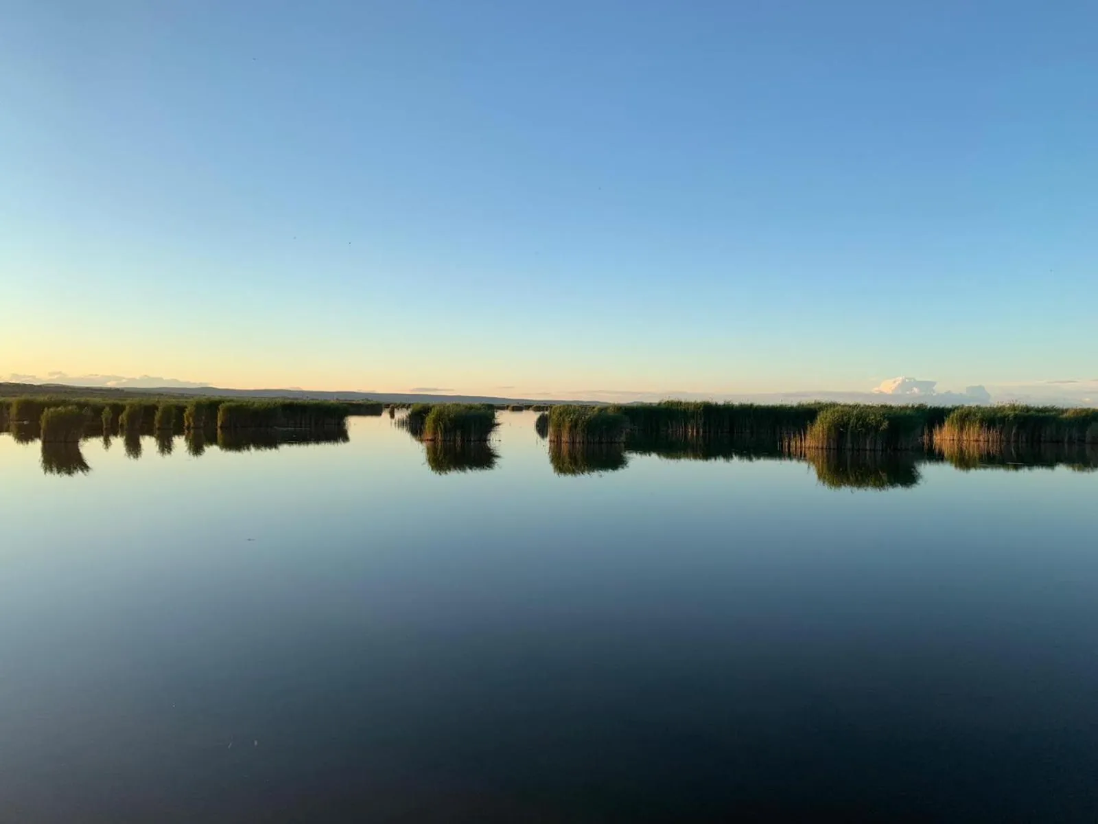 Natural landscape in Pension Peterhof