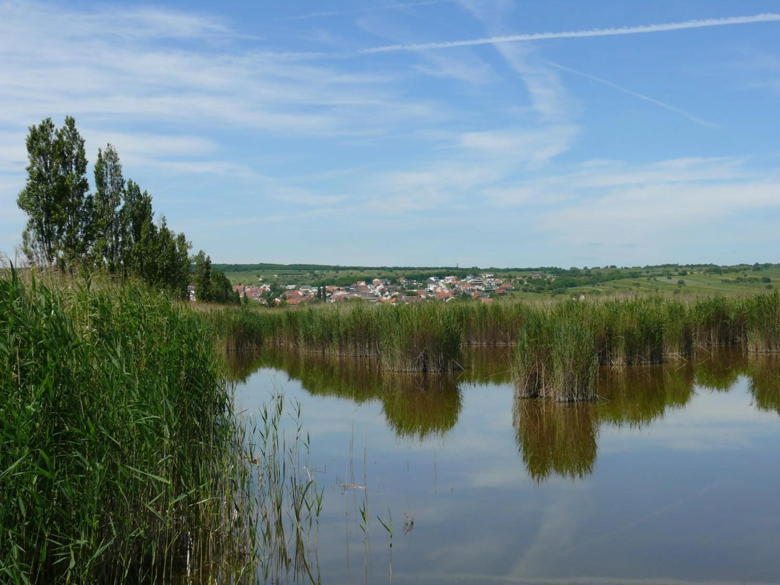 Spring in Pension Peterhof