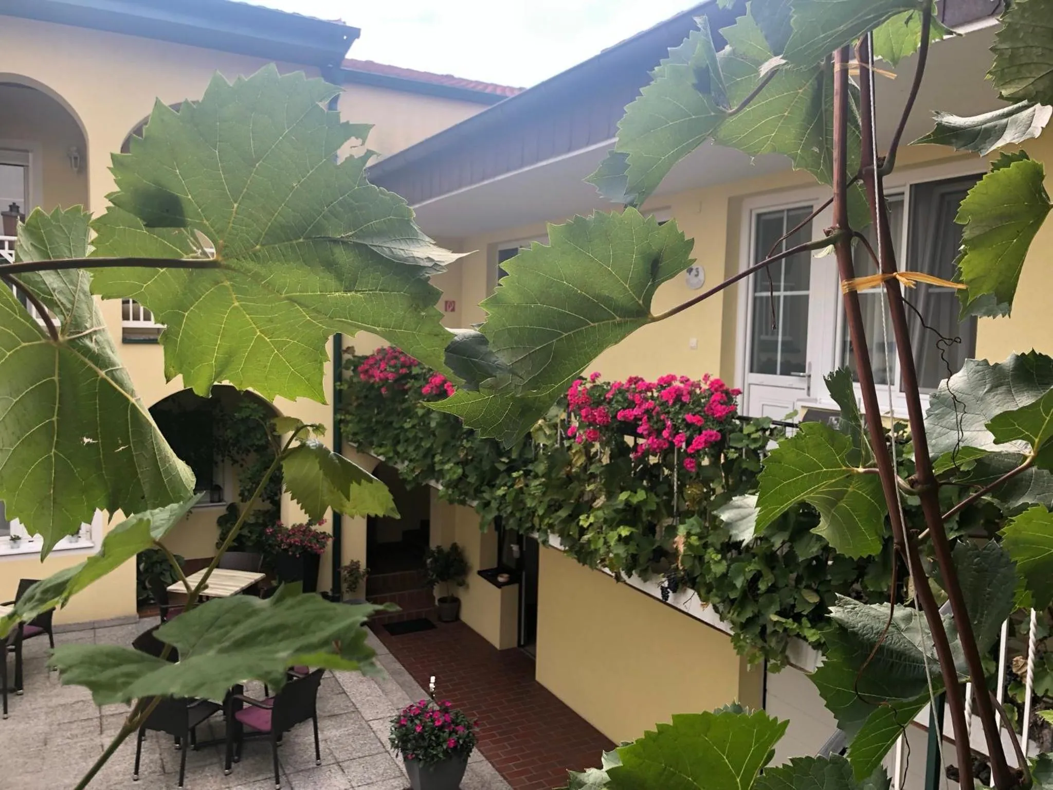 Property building in Pension Peterhof