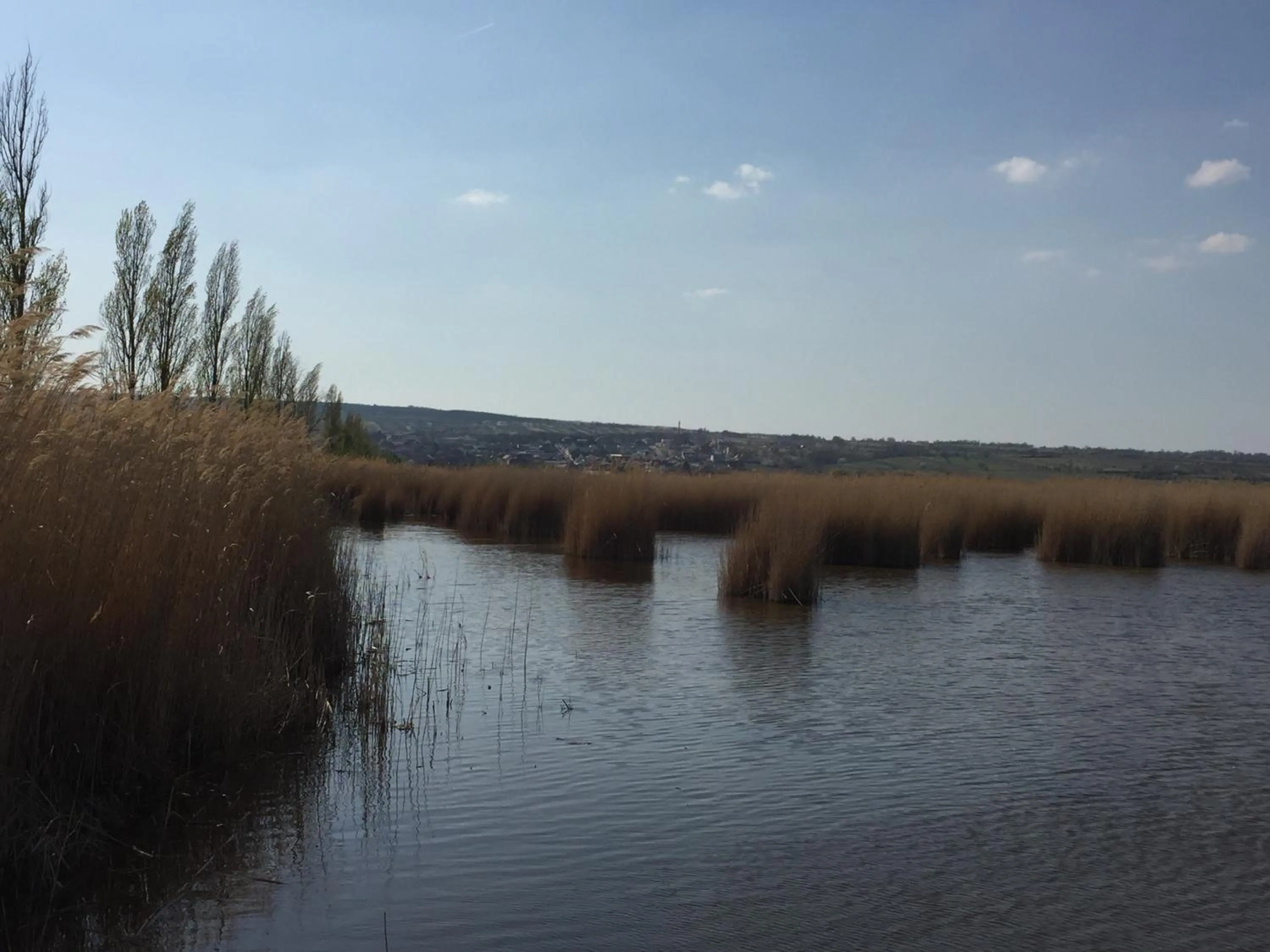 Spring in Pension Peterhof
