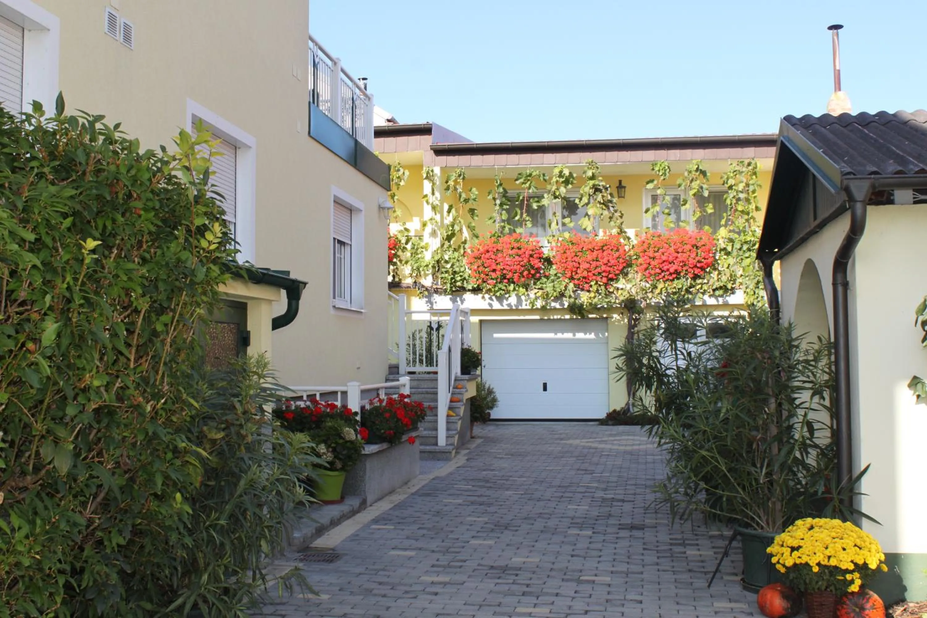 Facade/entrance in Pension Peterhof
