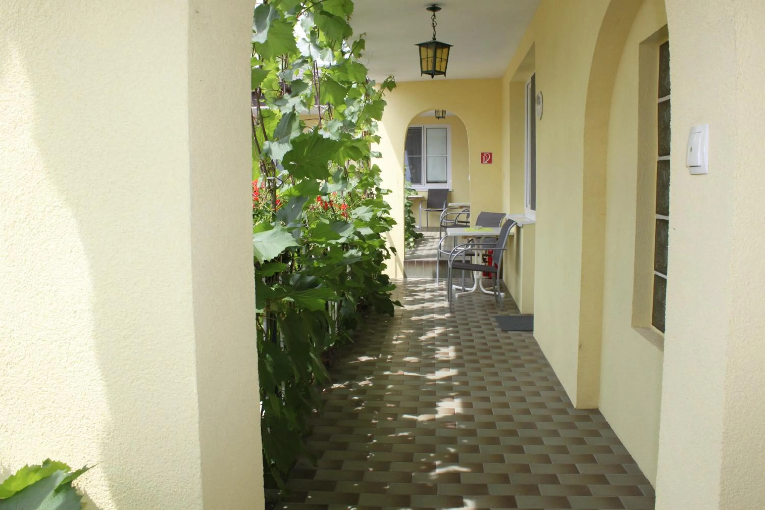 Balcony/Terrace in Pension Peterhof