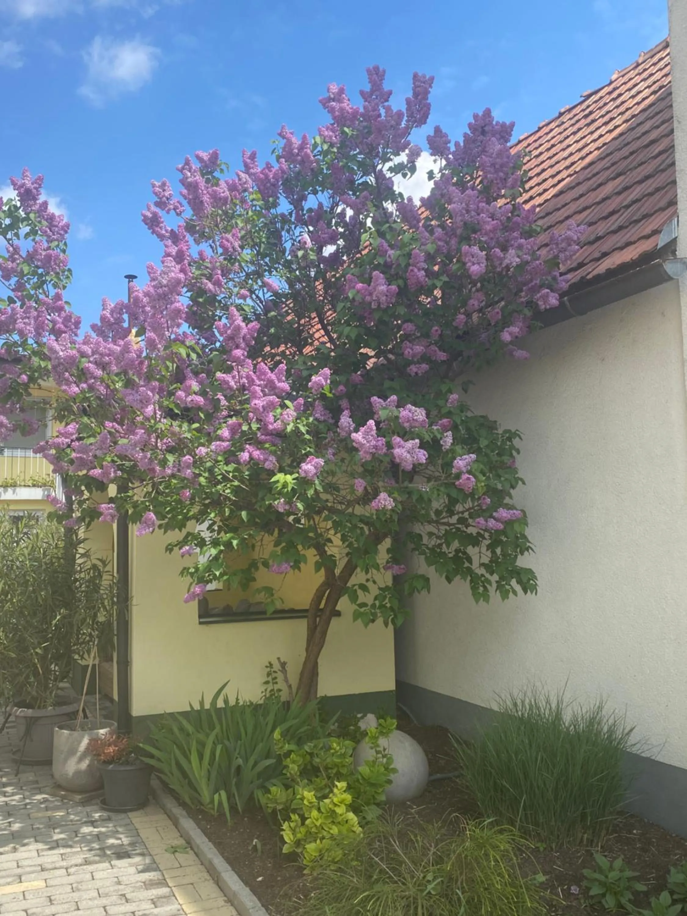 Spring in Pension Peterhof