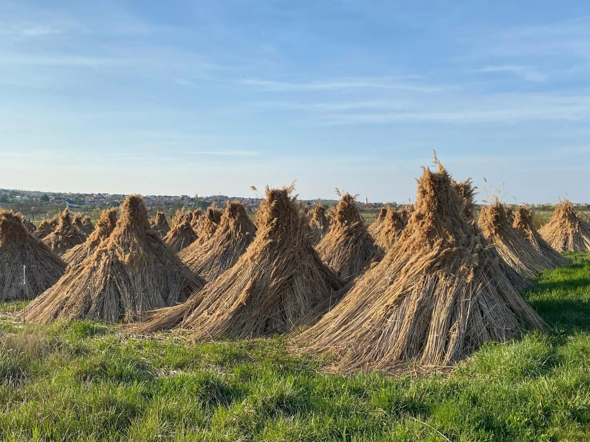 Spring in Pension Peterhof