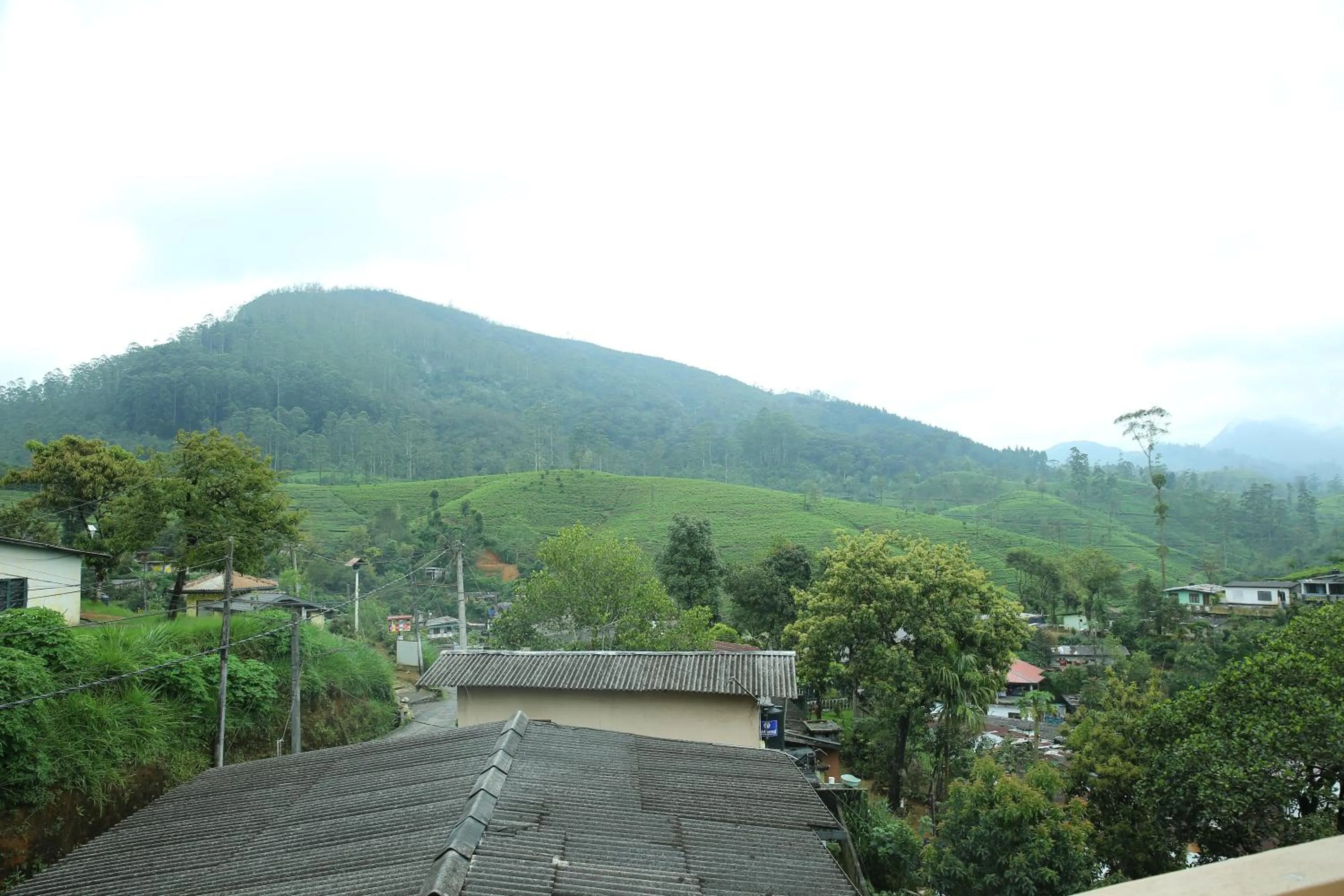 Mount View Bungalow