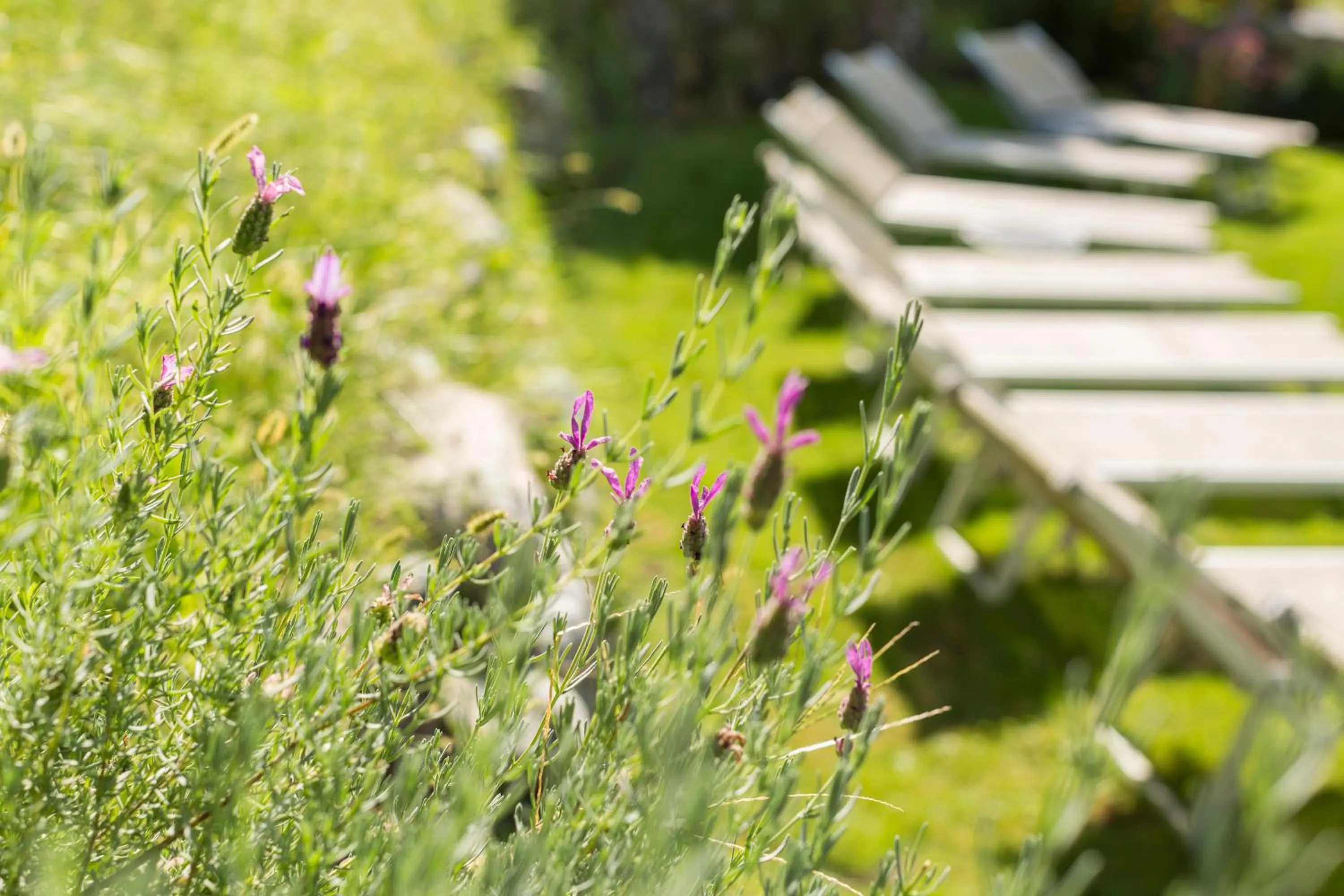 Other in Hotel Weingut Innerleiterhof