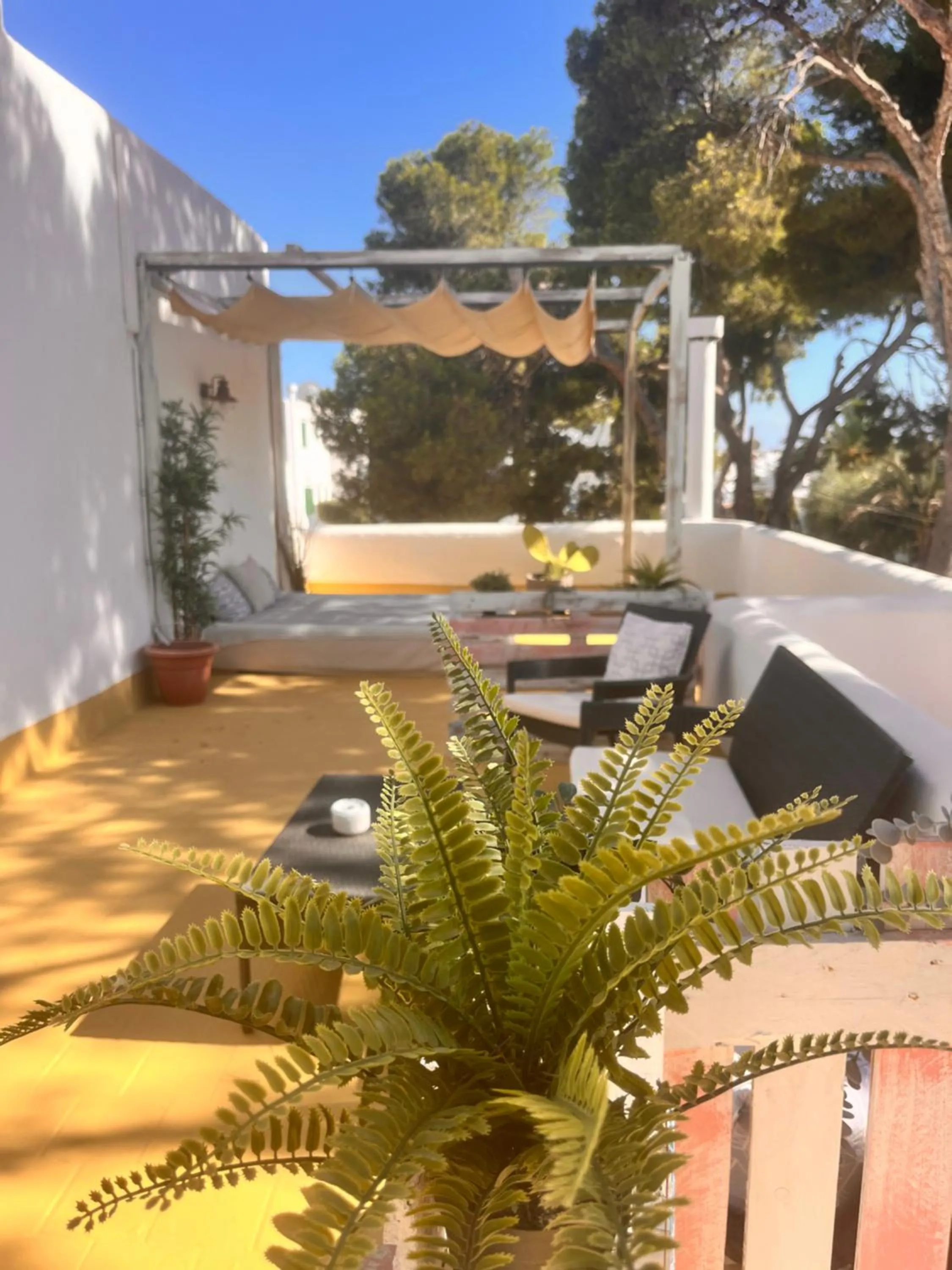 Casa Ceiba Maria