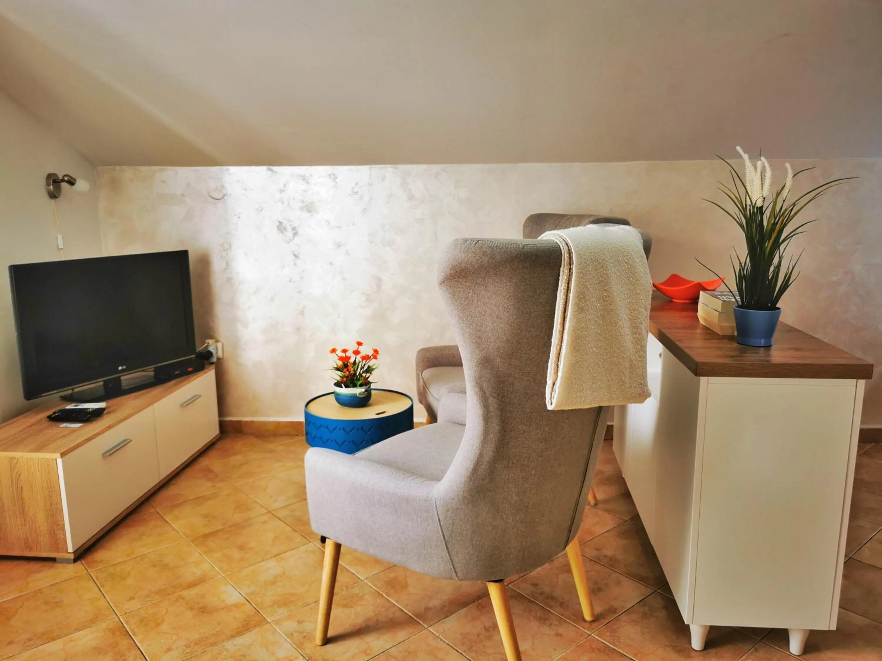 TV and multimedia in Apartments Villa PM