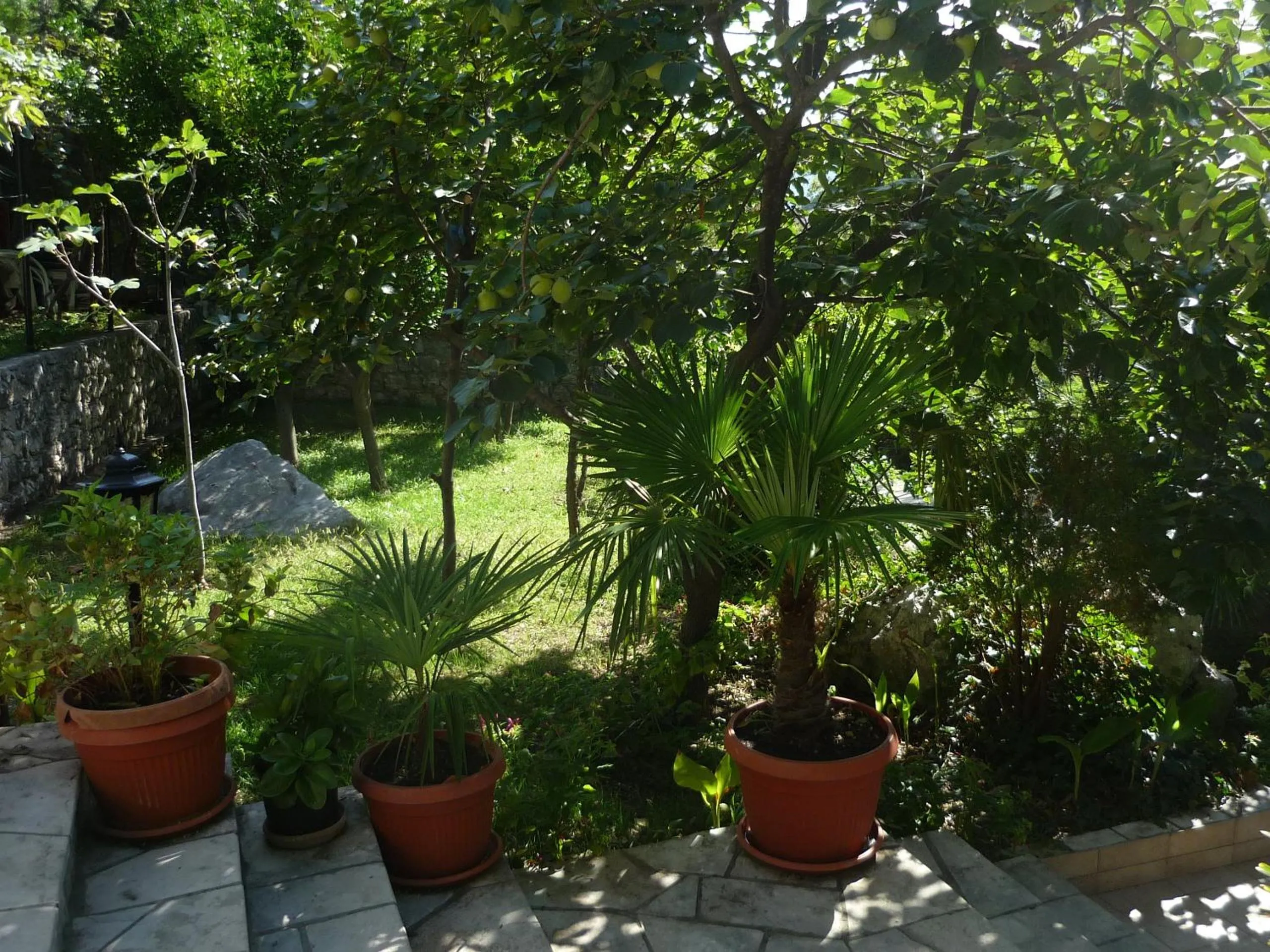 Garden in Apartments Villa PM