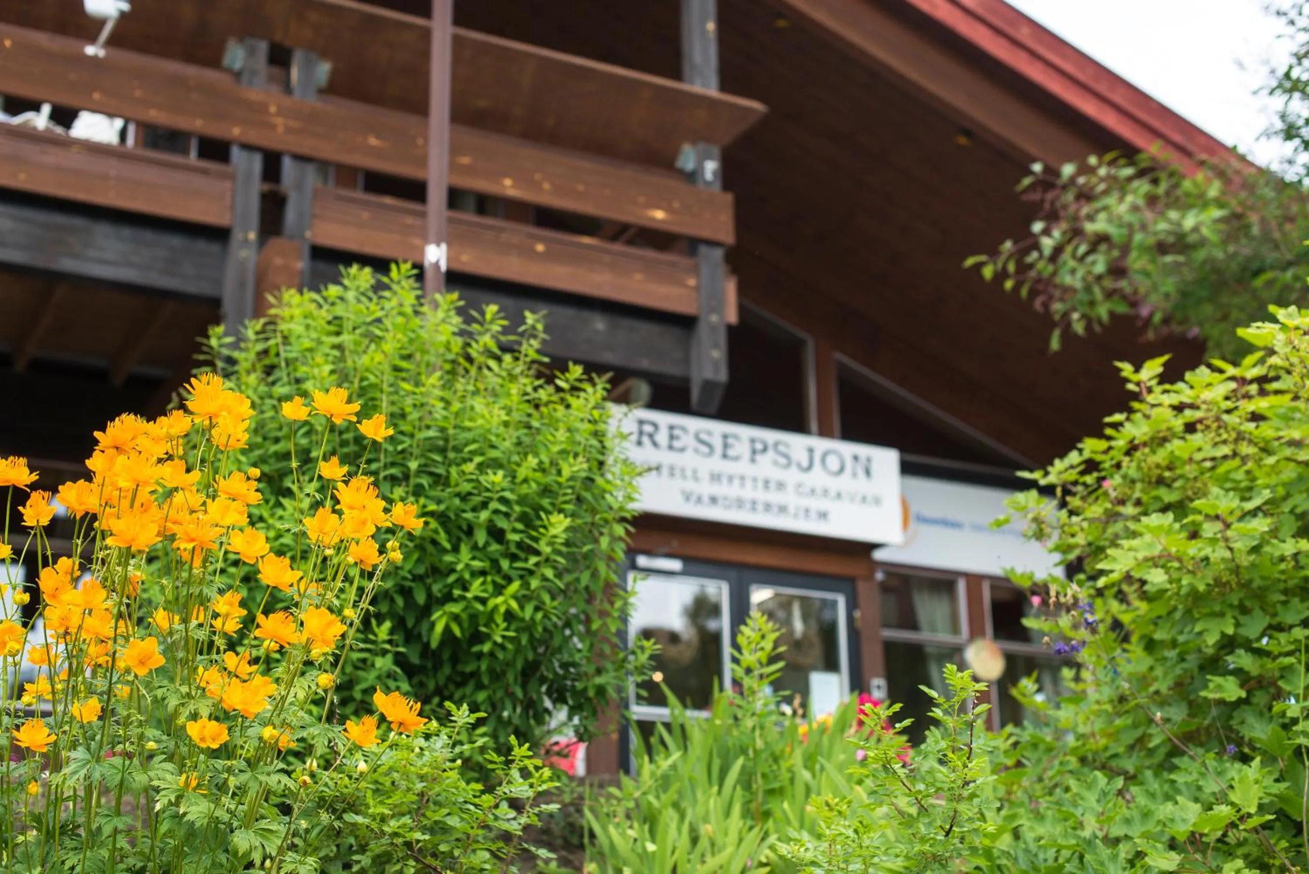 Property building in Hytter Dombås