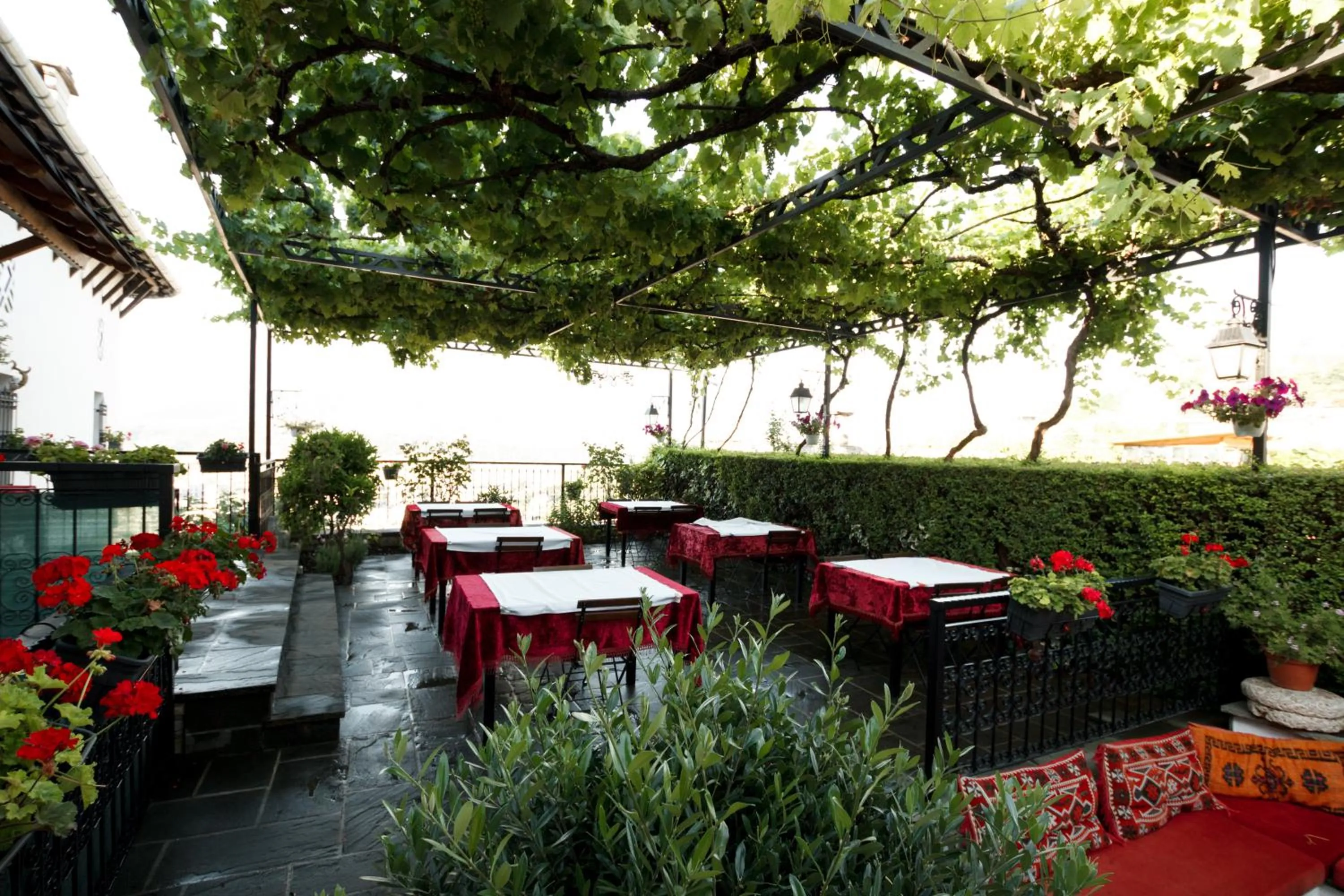 Patio in Boutique Hotel Musée