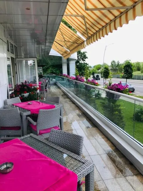 Balcony/Terrace in Hotel Afrodita -Valenii De Munte