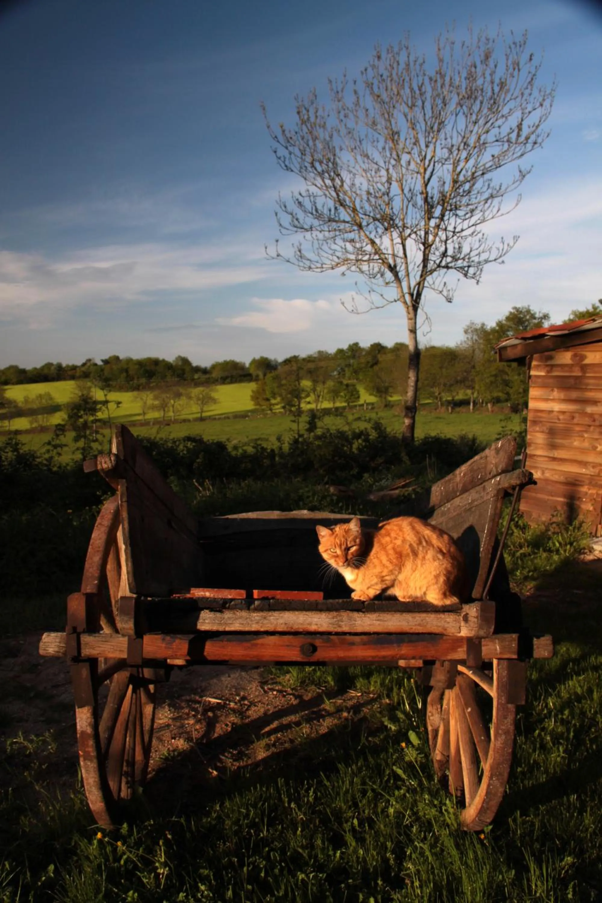 Chambres et Table d'hôtes Il Fut Un Temps...