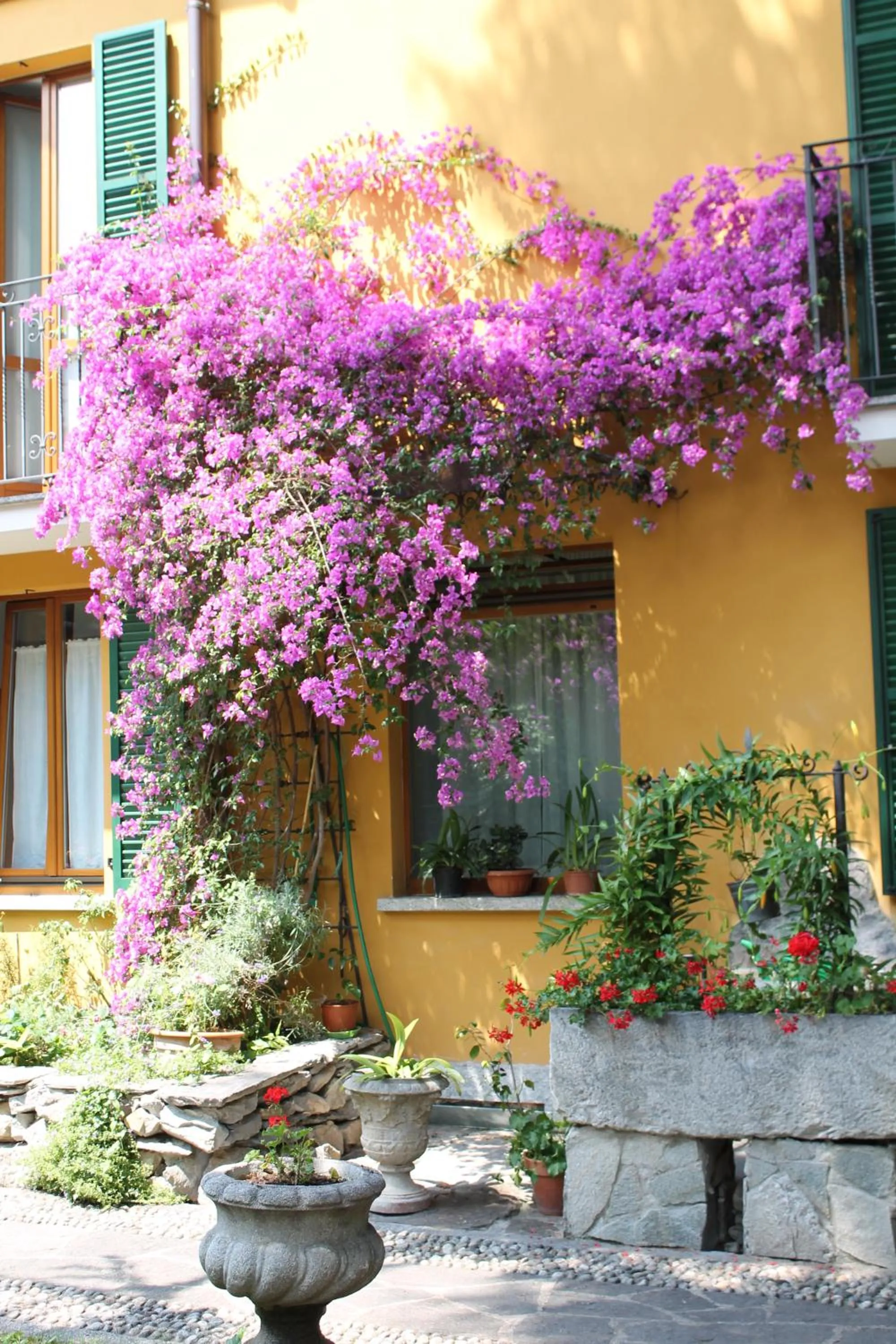 Facade/entrance in Hotel Centrale Bellagio