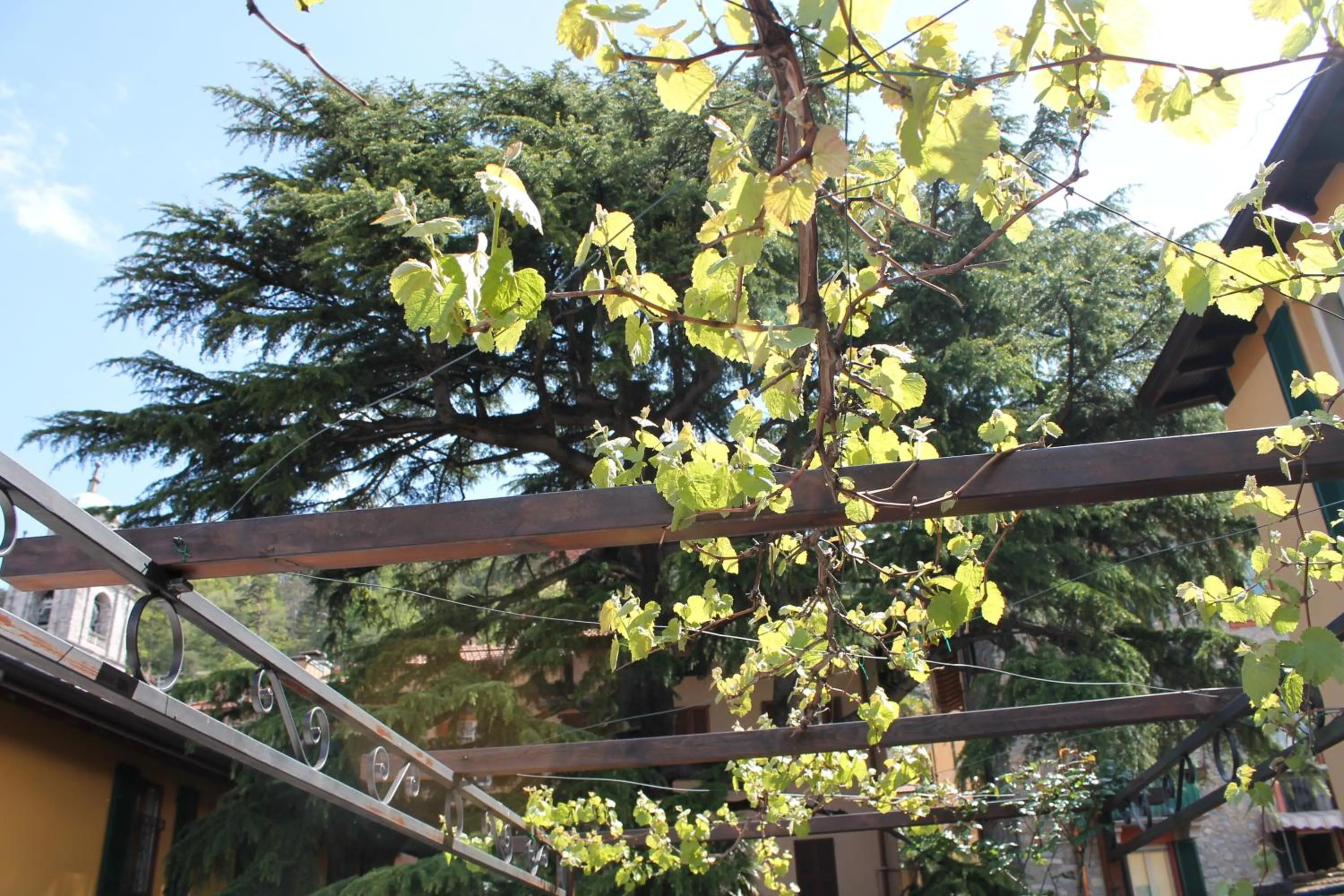 Day in Hotel Centrale Bellagio