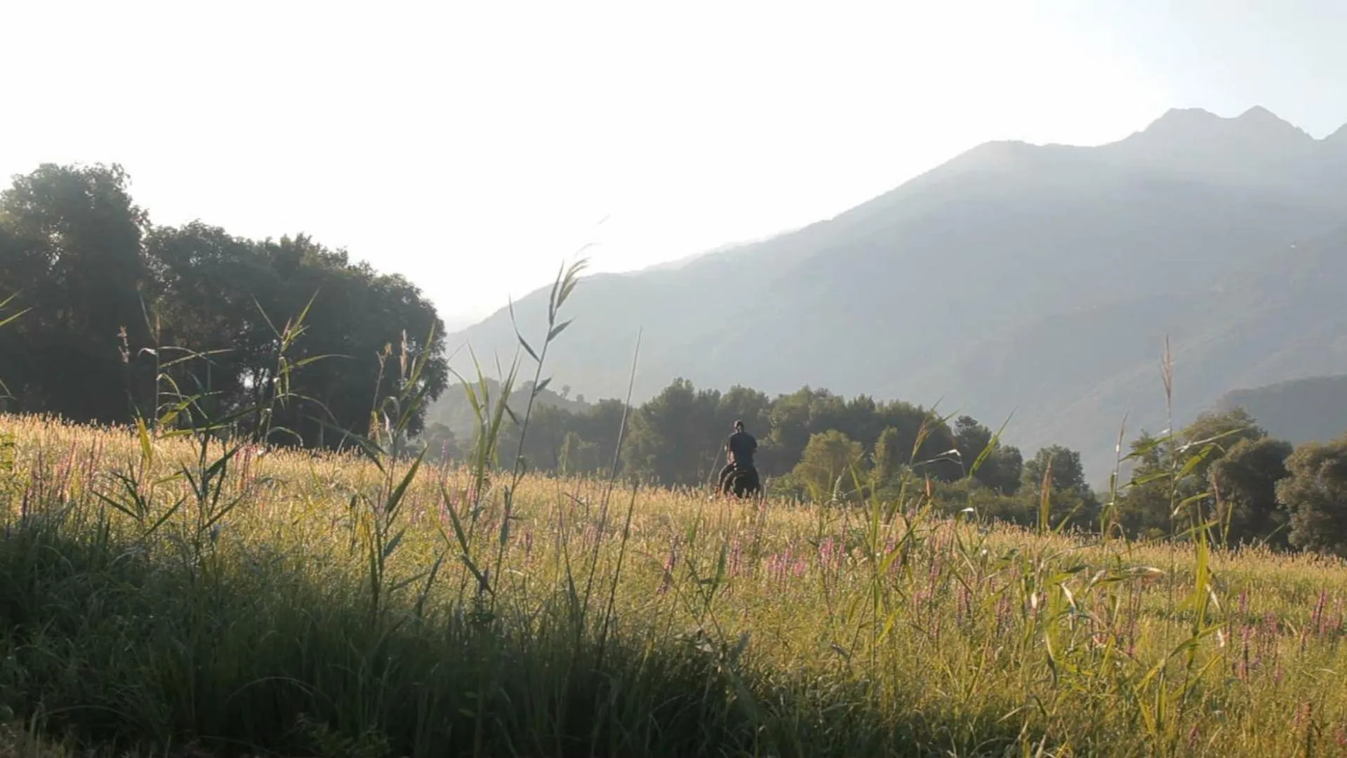 Cascina Borgofrancone