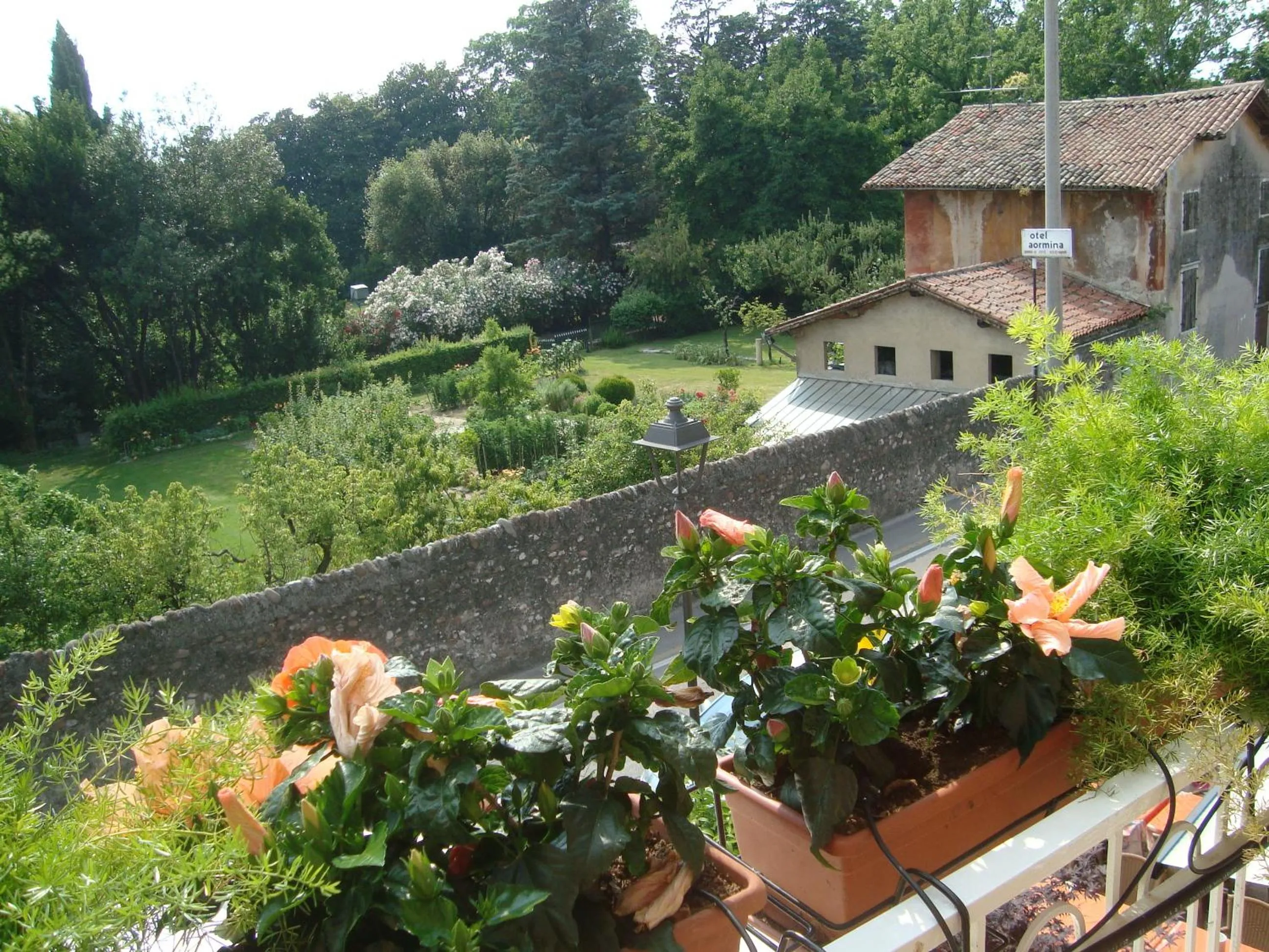 View (from property/room) in Hotel Orchidea