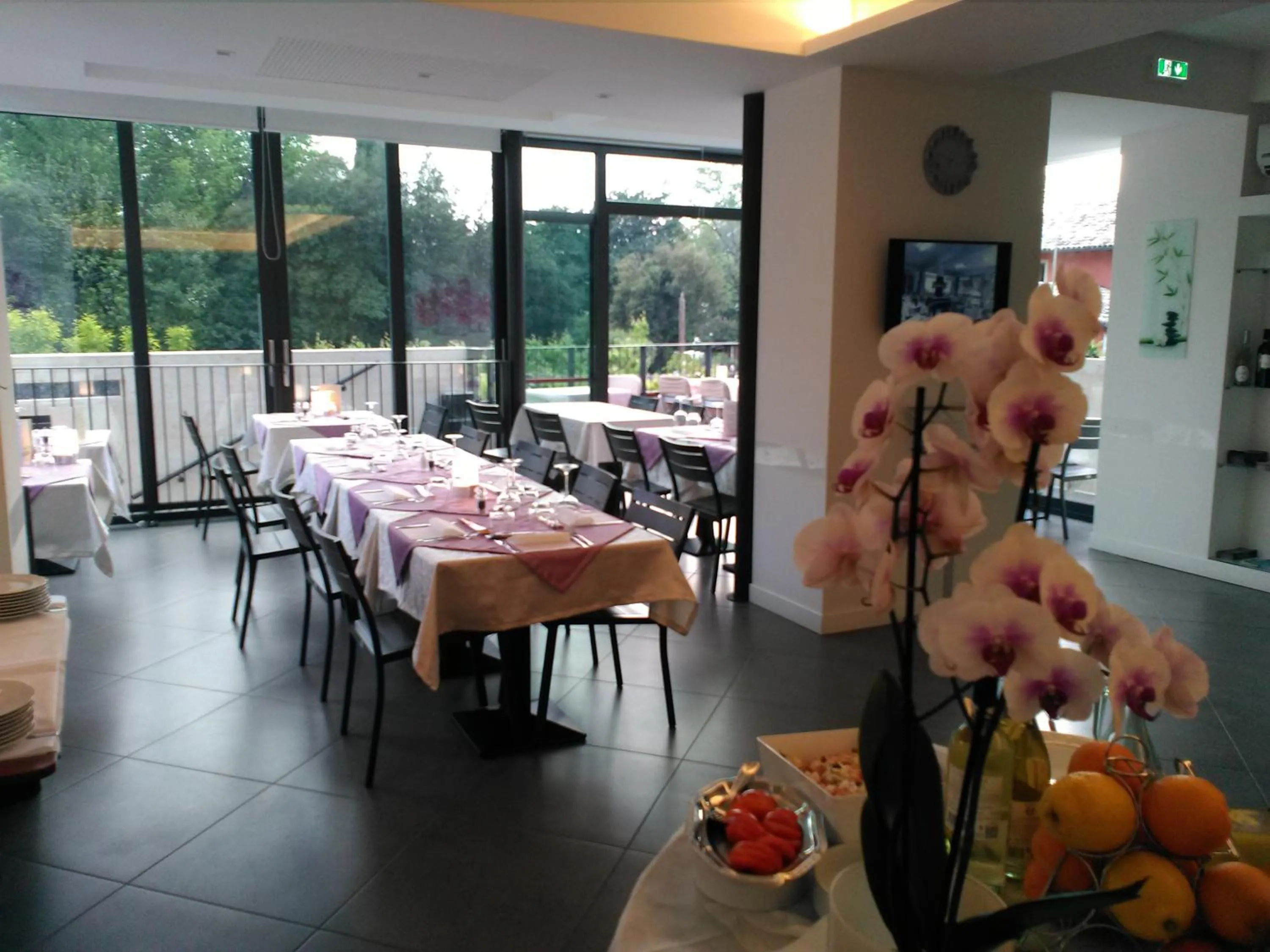 Garden view in Hotel Orchidea