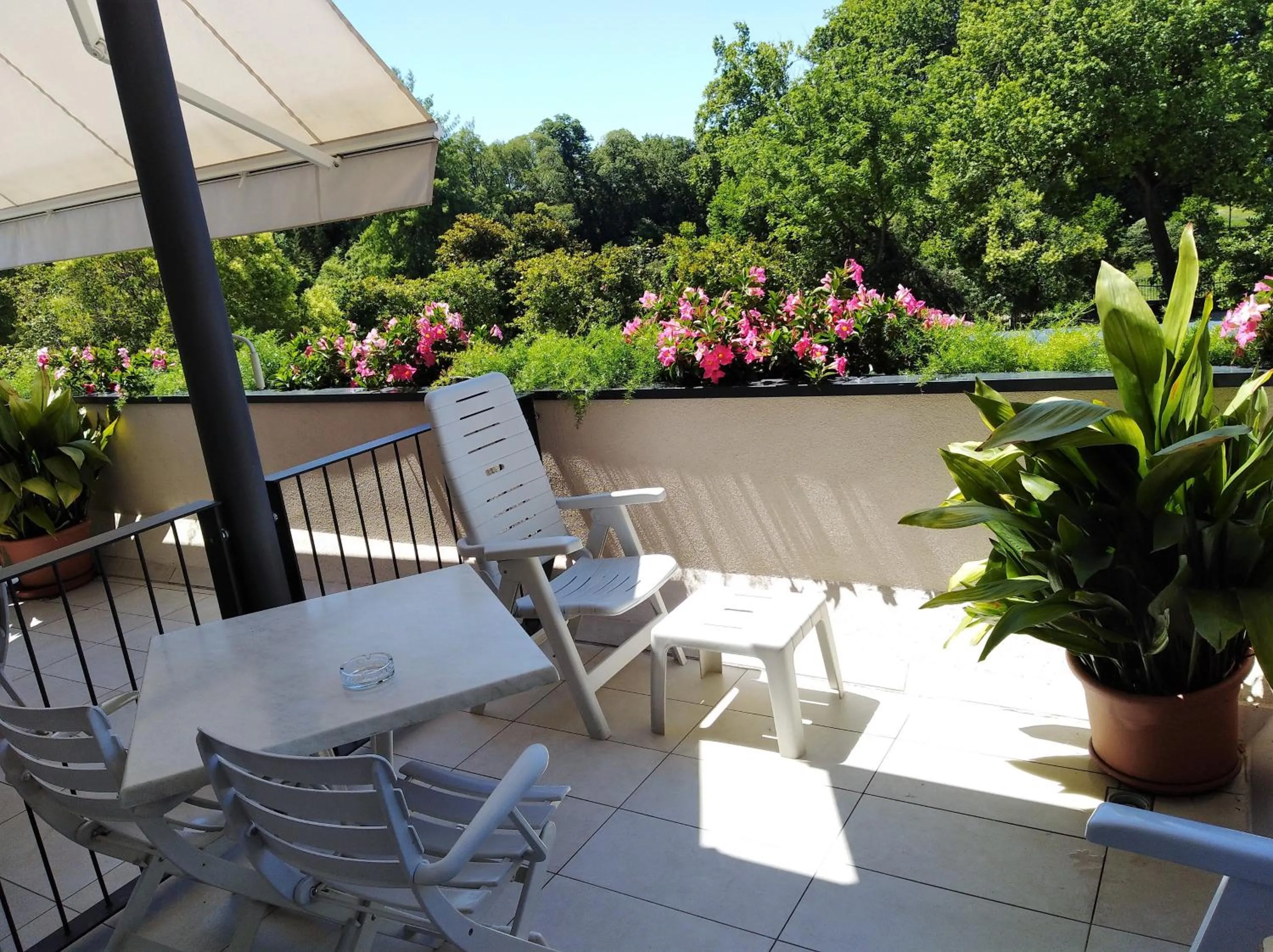 Balcony/Terrace in Hotel Orchidea