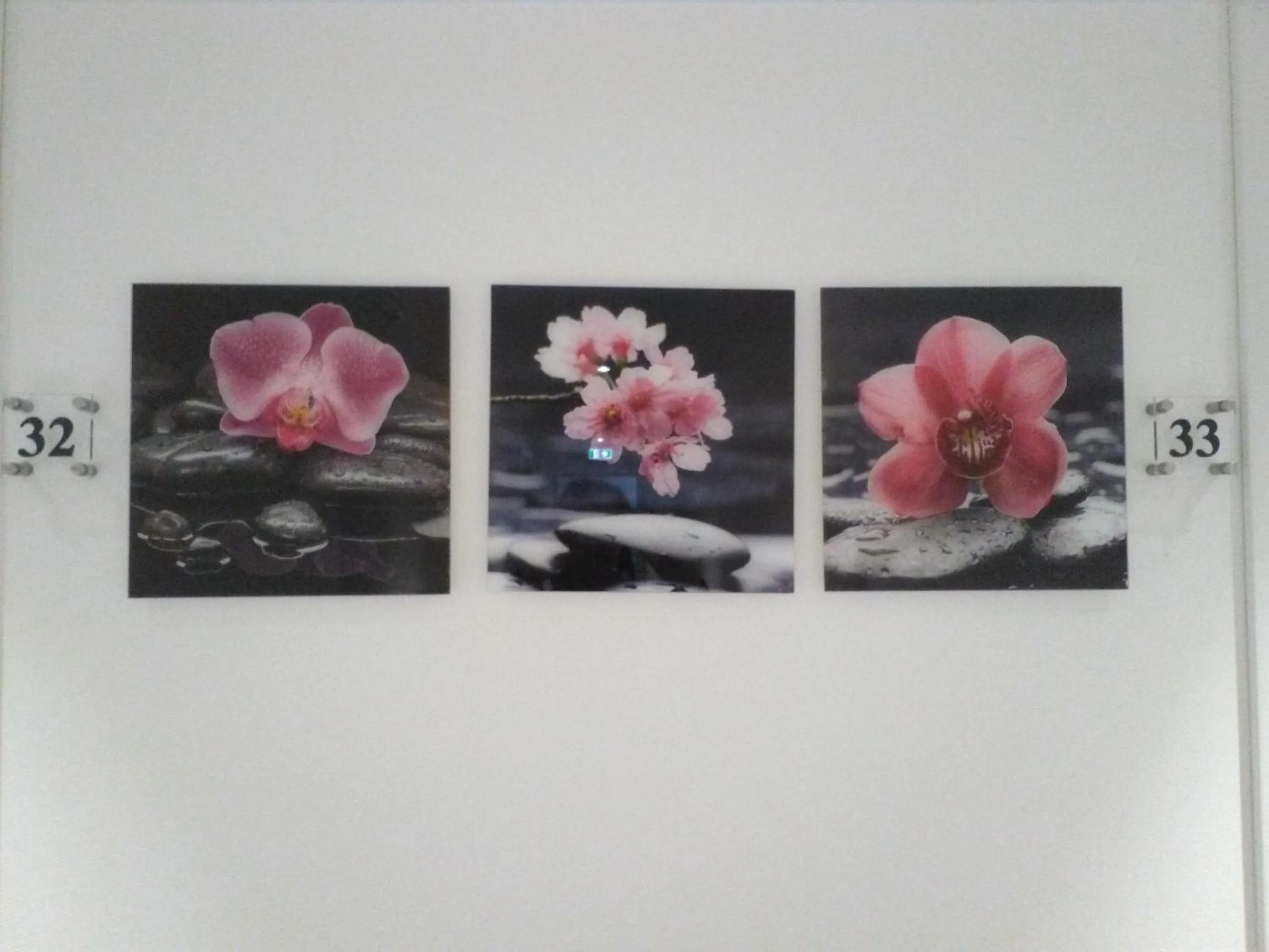 Decorative detail in Hotel Orchidea