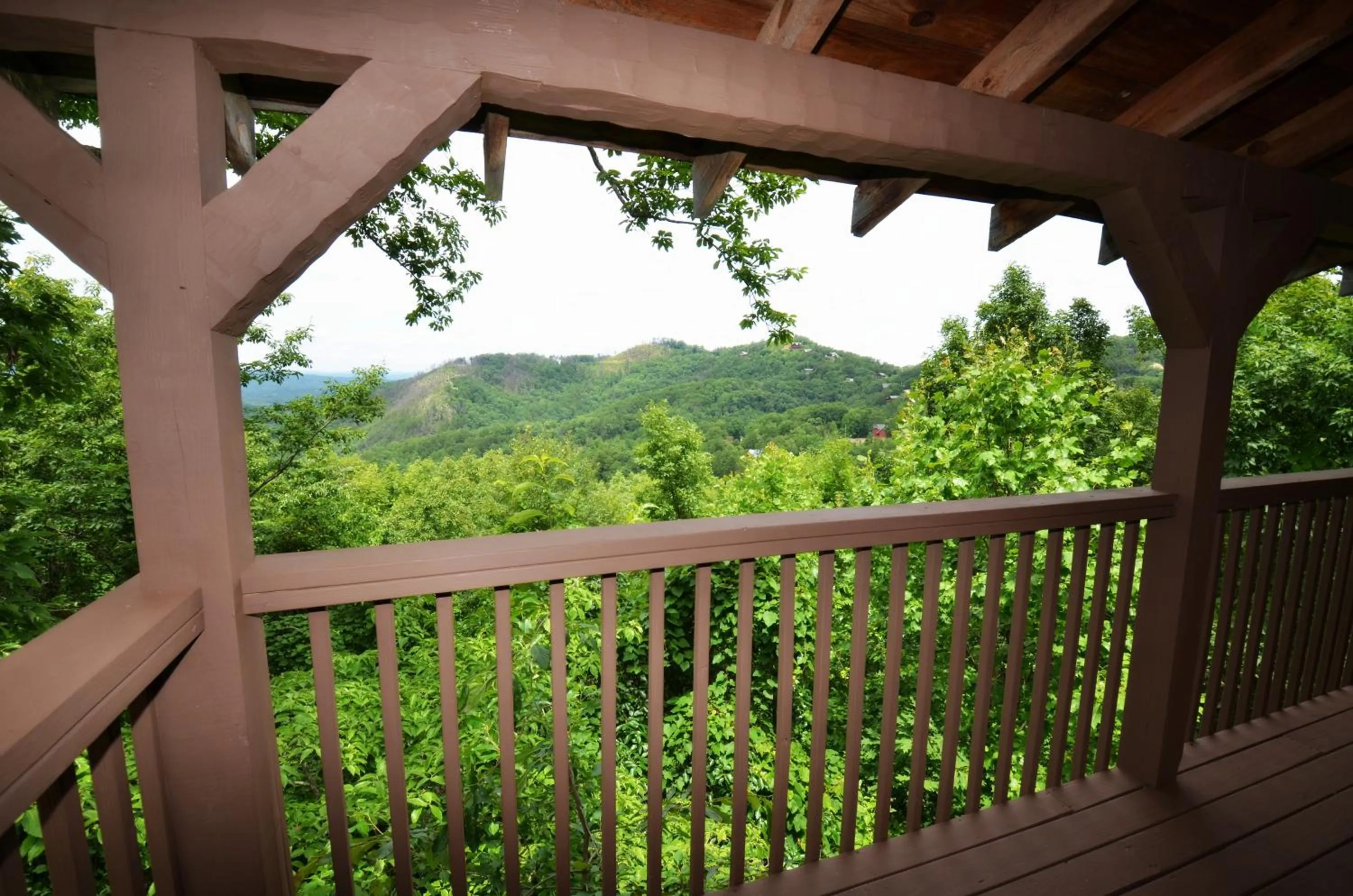 Property building in Love Shack