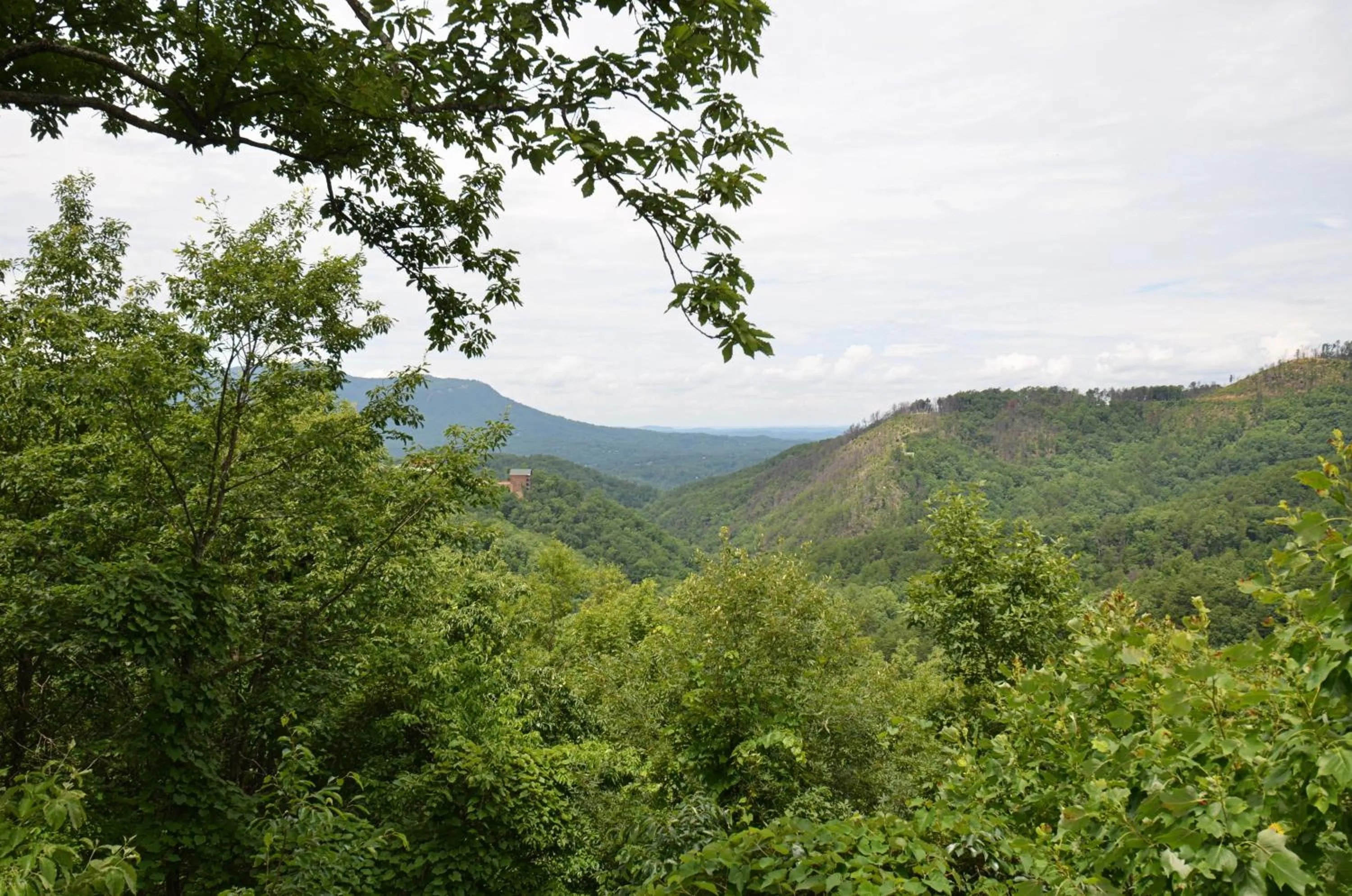 Property building in Love Shack