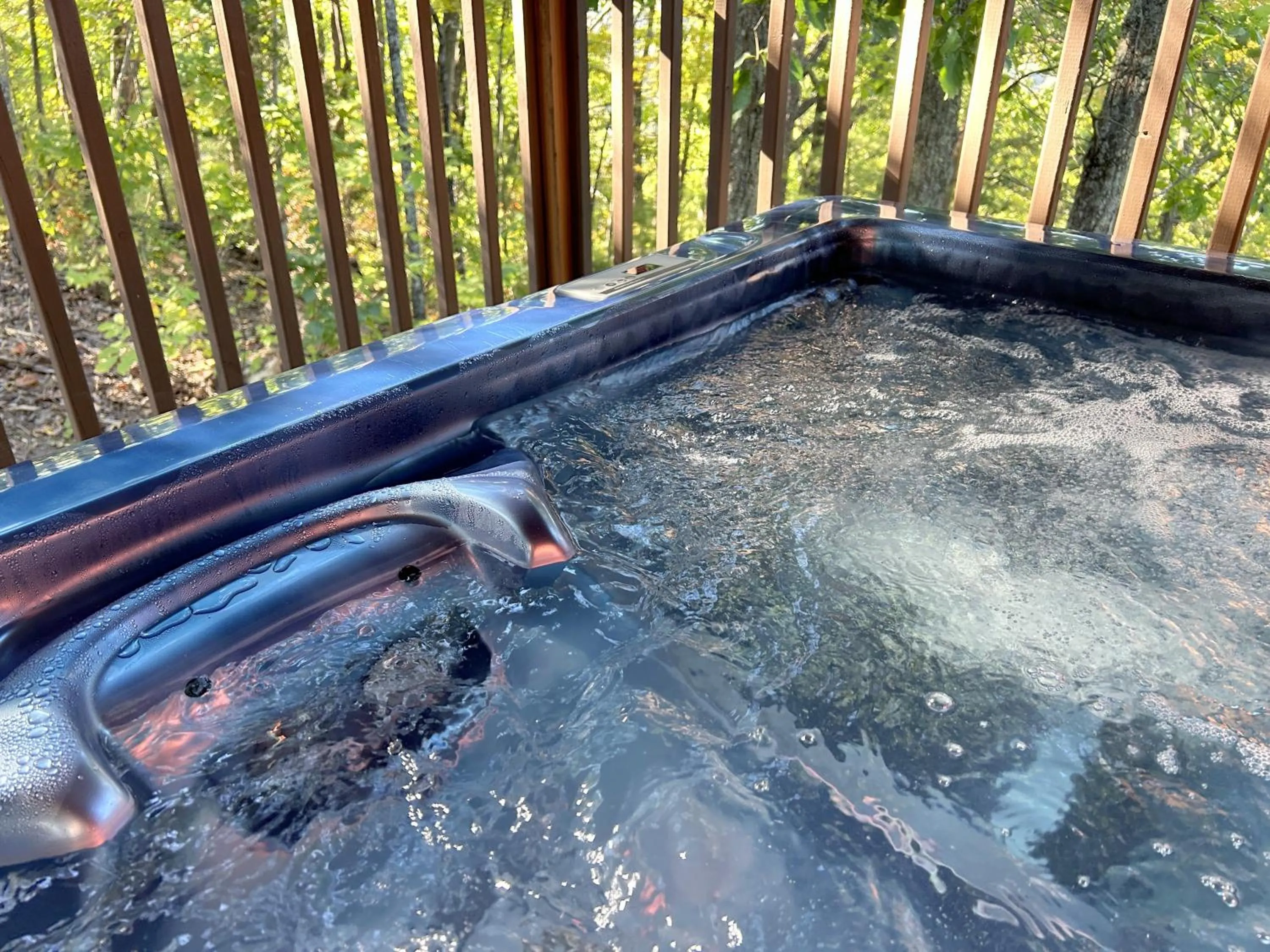 Natural landscape in Love Shack