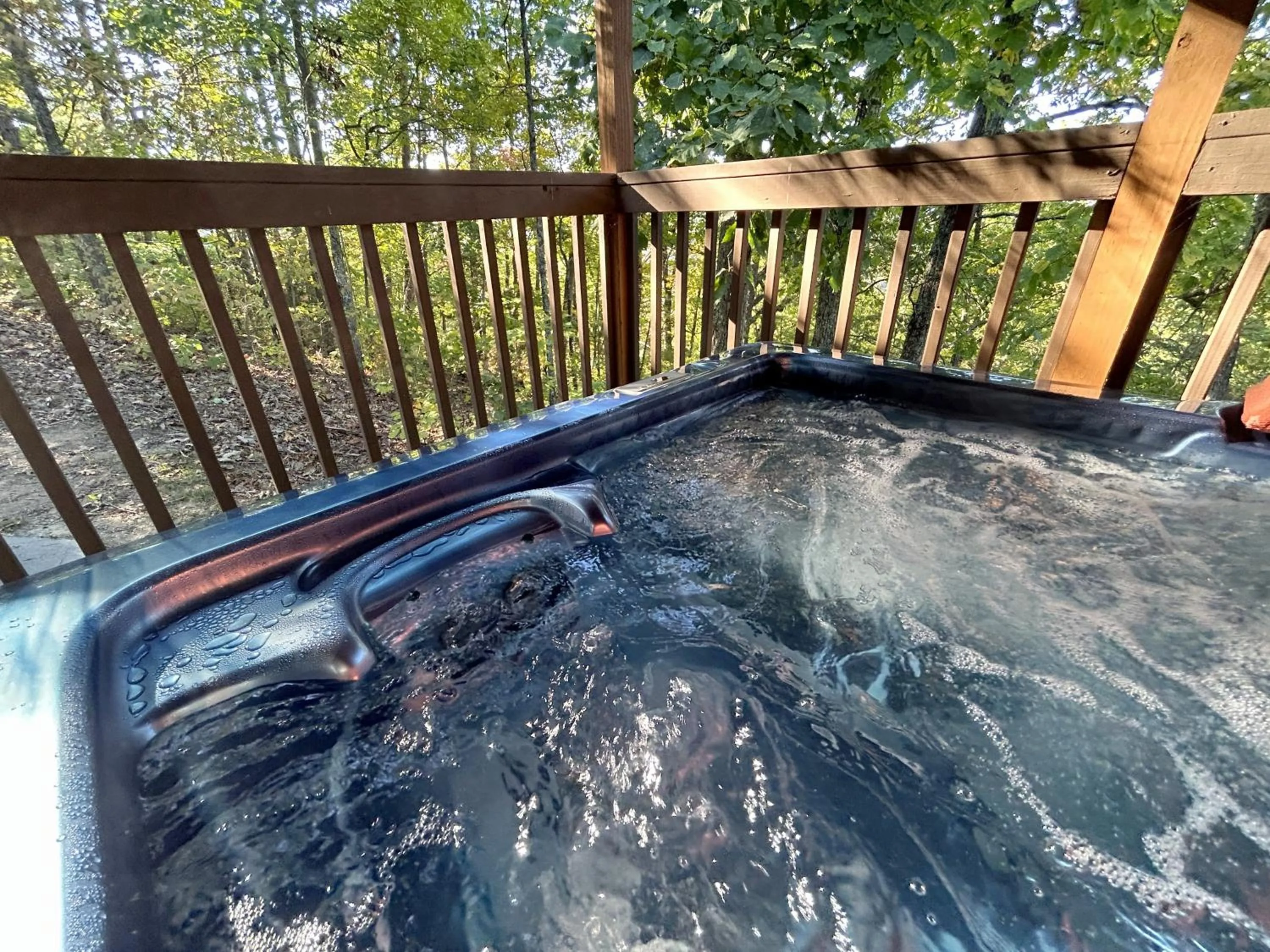 Natural landscape in Love Shack