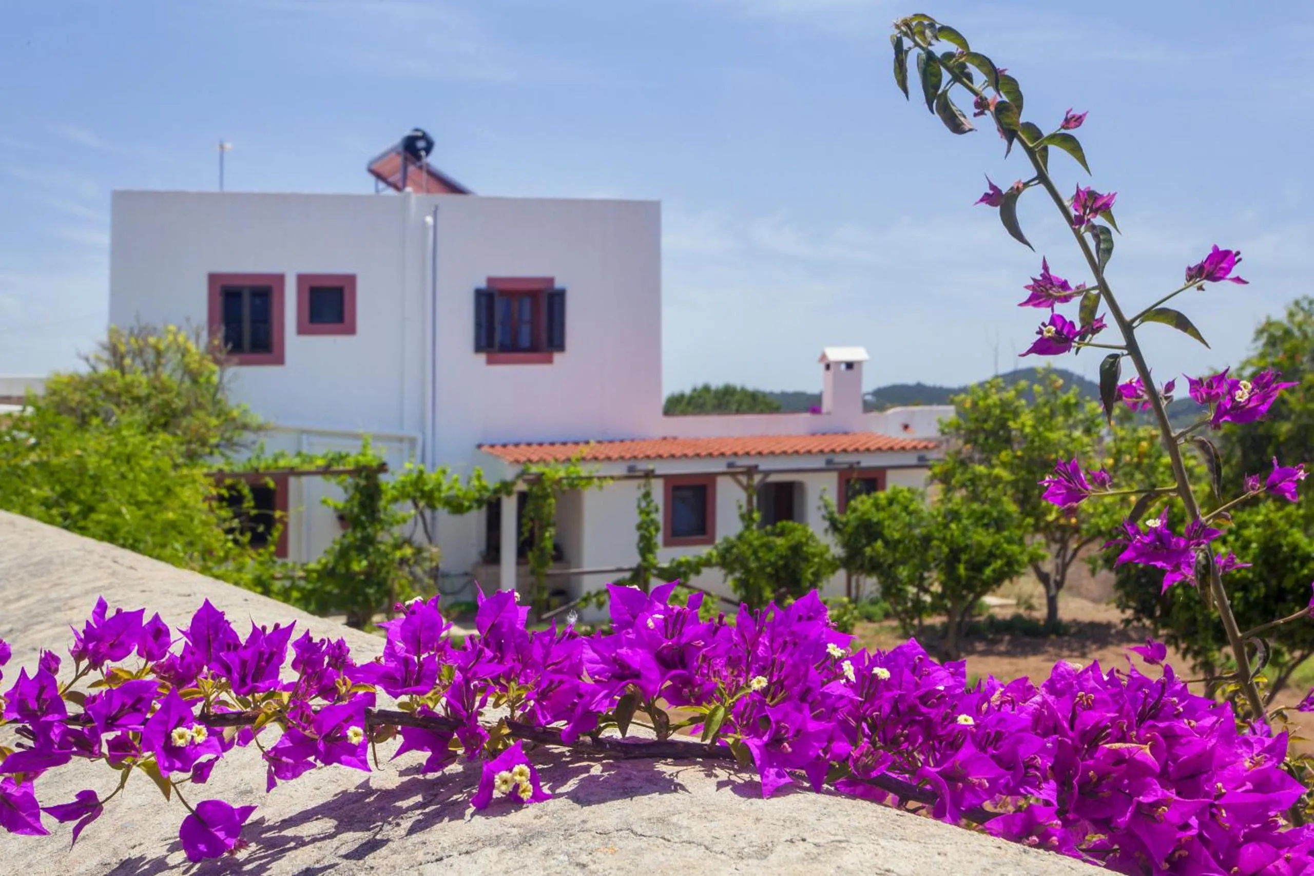 Property building in Pau de Baix